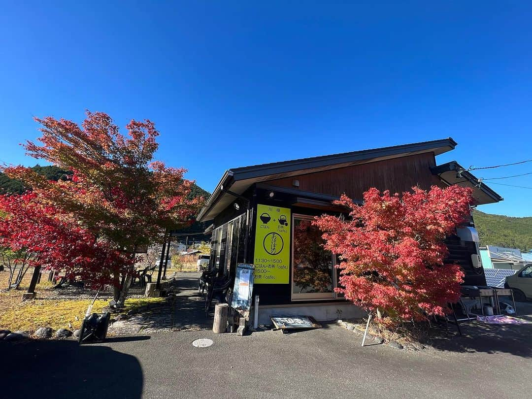 高松いくさんのインスタグラム写真 - (高松いくInstagram)「🍵🥟  川根本町の食旅😋 地元の役場の職員さんが教えてくださってお店✨  和彩食堂「川根あけぼの」✨  餃子の皮には、 川根茶ペーストが練り込まれた「イノシシ餃子」😳 や川根本町産ゆずを練り込んだ「ゆず餃子」✨ 美味しい➕出てきた餃子の羽根にビックリ🫢✨ とくに ゆず餃子は🥟ハマりそう‼️  とろろのねっっとりが凄く、 食べ応えがあります(　ﾟдﾟ)✨ 今まで食べたとろろは そばに絡みやすい感じでお箸から🥢するっと抜けていくとろろが多かったけど このとろろは、お箸でとろろと蕎麦を絡めたら ズッシリ✨ お箸に乗ったとろろ全部塊で食べられるぐらい しっかり系とろろ😍 美味しかったーーー‼️  とろろは 栄養の吸収促進✨ 血行促進✨ 疲労回復✨  旅のお供に最高な効果ですね〜😋✨  もちろん‼️ 蕎麦は、茶そば✨川根本町のお茶の蕎麦です🍵  美味しさに感動したのはもちろん 人が... 温かかった(´༎ຶོρ༎ຶོ`) キッチンから聞こえて来る 店主さんの声もスタッフさんの声も お見送りしてくださる皆様の笑顔も(´༎ຶོρ༎ຶོ`) 団体バスの準備で忙しそうだったのに...  凄いな〜忙しい時に こんな雰囲気って事は 普段からなんだろうな。  優しいおいしい時間を過ごしました❤️  営業時間 昼の部　Lunch　 12:00～15:00 ​ 夜の部　Dinner　17:30～20:00(LO19:00) It is only a reservation at night. ​ 定休日Regular holiday　 毎週火曜日(臨時休業あり） Every Tuesday 店舗情報 ​​和彩食堂あけぼの   〒428-0313 静岡県榛原郡川根本町上長尾842-4  ℡：0547-56-0102 mobile：090-4155-0446  #川根本町 #静岡 #sup #cruising の帰り　#食旅  #ランチ #寄り道  #旅　#旅行 #japan #food #japanesefood  #茶そば #餃子　#どろろ #蕎麦  #美味しい」11月21日 20時46分 - iku_takamatsu_trip_sup_yoga