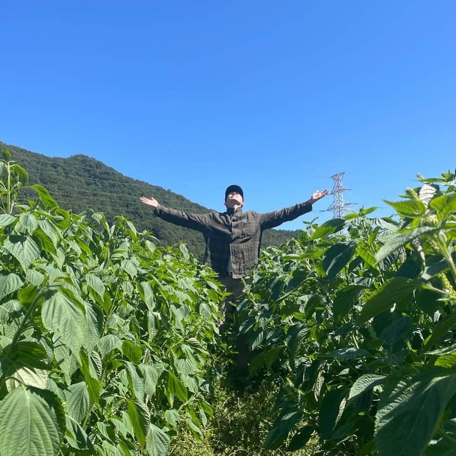 キム・ウビンのインスタグラム：「우리 깻잎 🌱」