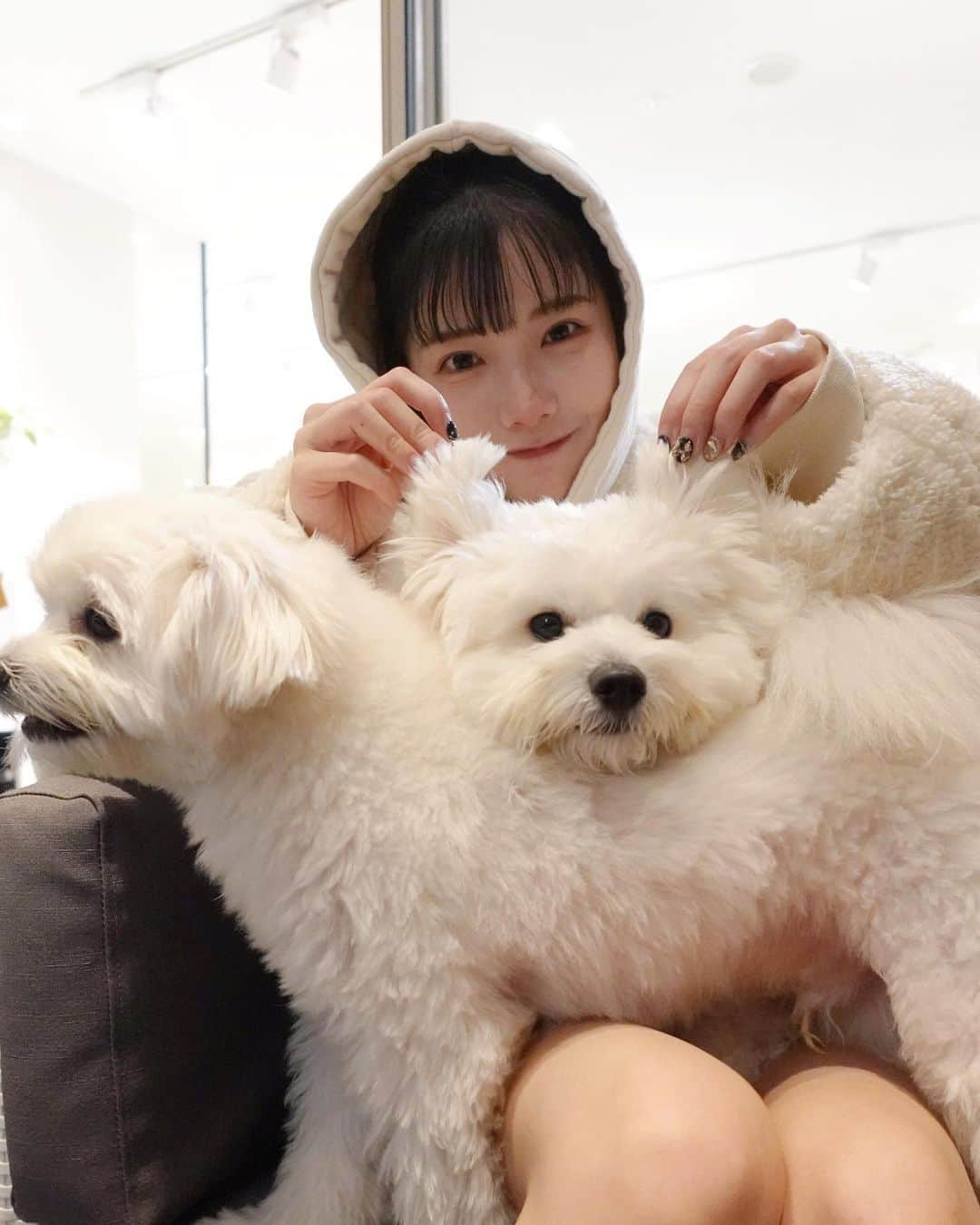 えみ姉のインスタグラム：「ㅤ ㅤ 週末またまた家族でお出かけしてきた🐻‍❄️♡♡ ㅤ おもまめの喜ぶ顔見たさに 週末いつもわんこスポットばっかり行ってる🩶 ㅤㅤ いい顔してるよね、おもまめ🐻‍❄️🩶 ㅤㅤㅤ ㅤ ㅤ」