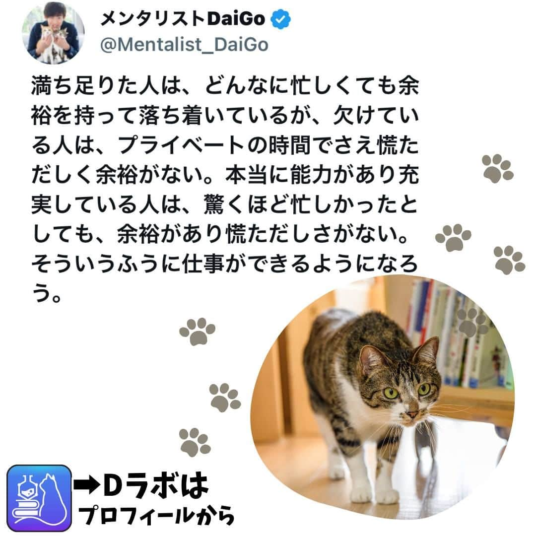 メンタリストDaiGoのインスタグラム：「🐈本日の名言📚 プロフィールからDラボもみてね  #心理学 #メンタリスト #dラボ  #dラボはプロフィールから」