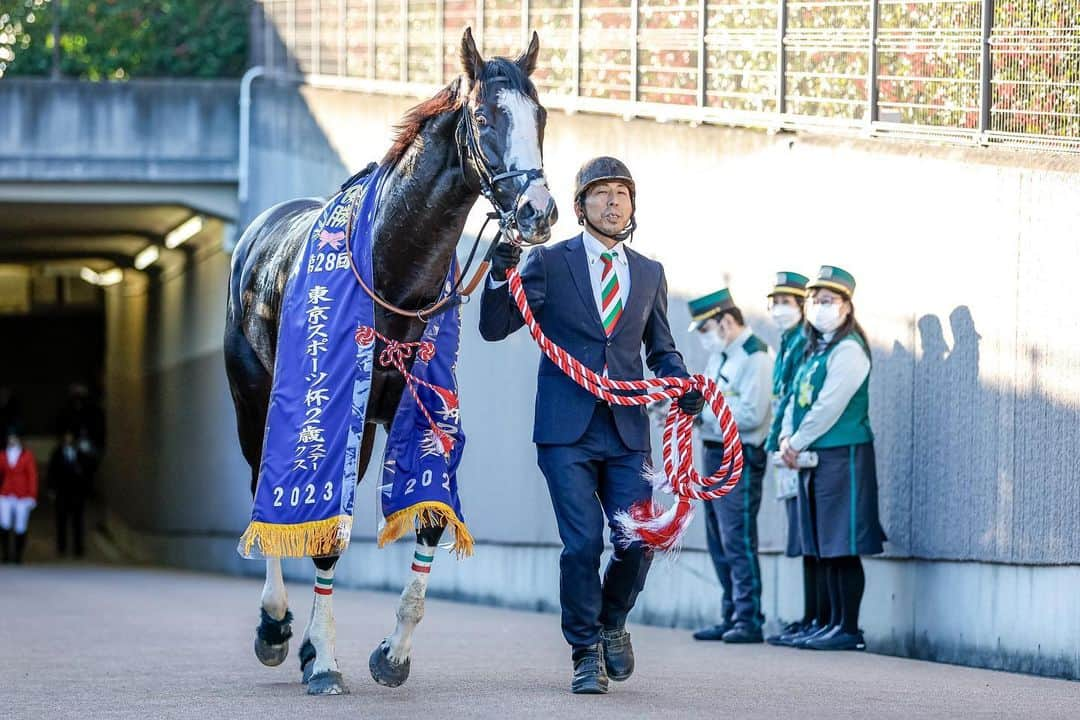 netkeibaさんのインスタグラム写真 - (netkeibaInstagram)「ㅤㅤㅤㅤㅤㅤㅤㅤㅤㅤㅤㅤㅤㅤㅤ ㅤㅤㅤㅤㅤㅤㅤㅤㅤㅤㅤㅤㅤㅤ #東京スポーツ杯2歳ステークス winner 🥕  #シュトラウス (牡2、美浦・ #武井亮 厩舎) ㅤㅤㅤㅤㅤㅤㅤㅤㅤㅤㅤㅤㅤ #ジョアンモレイラ 騎手 #モーリス #ブルーメンブラット . . #instahorse #horsetagram #thoroughbred #horseracing #horse #horseofinstagram #keiba #競馬 #馬 #Strauss #東スポ2歳  撮影：下野雄規」11月21日 22時09分 - netkeiba