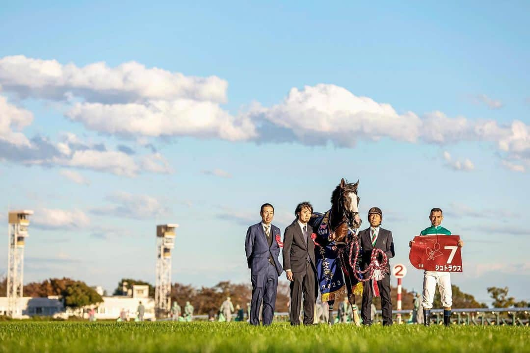 netkeibaさんのインスタグラム写真 - (netkeibaInstagram)「ㅤㅤㅤㅤㅤㅤㅤㅤㅤㅤㅤㅤㅤㅤㅤ ㅤㅤㅤㅤㅤㅤㅤㅤㅤㅤㅤㅤㅤㅤ #東京スポーツ杯2歳ステークス winner 🥕  #シュトラウス (牡2、美浦・ #武井亮 厩舎) ㅤㅤㅤㅤㅤㅤㅤㅤㅤㅤㅤㅤㅤ #ジョアンモレイラ 騎手 #モーリス #ブルーメンブラット . . #instahorse #horsetagram #thoroughbred #horseracing #horse #horseofinstagram #keiba #競馬 #馬 #Strauss #東スポ2歳  撮影：下野雄規」11月21日 22時09分 - netkeiba