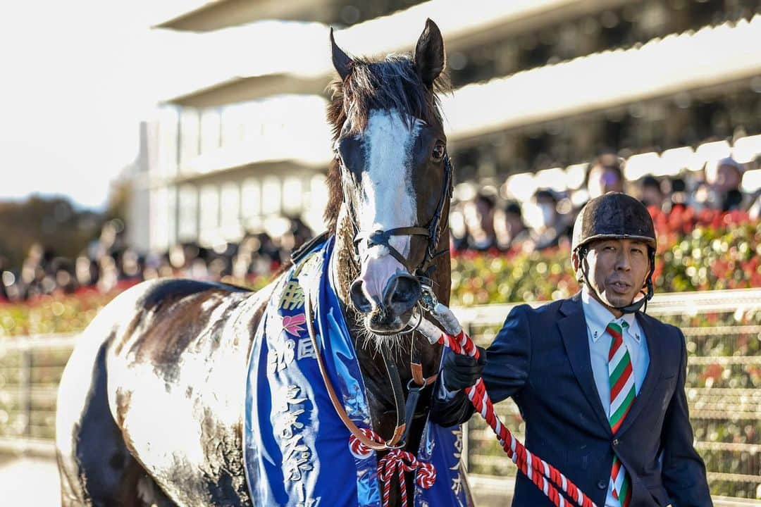 netkeibaさんのインスタグラム写真 - (netkeibaInstagram)「ㅤㅤㅤㅤㅤㅤㅤㅤㅤㅤㅤㅤㅤㅤㅤ ㅤㅤㅤㅤㅤㅤㅤㅤㅤㅤㅤㅤㅤㅤ #東京スポーツ杯2歳ステークス winner 🥕  #シュトラウス (牡2、美浦・ #武井亮 厩舎) ㅤㅤㅤㅤㅤㅤㅤㅤㅤㅤㅤㅤㅤ #ジョアンモレイラ 騎手 #モーリス #ブルーメンブラット . . #instahorse #horsetagram #thoroughbred #horseracing #horse #horseofinstagram #keiba #競馬 #馬 #Strauss #東スポ2歳  撮影：下野雄規」11月21日 22時09分 - netkeiba