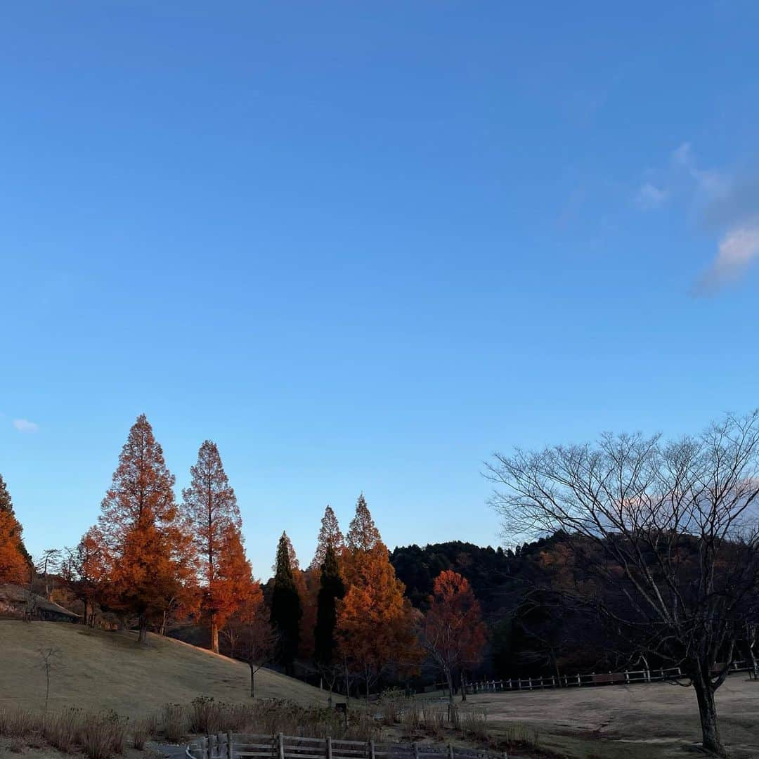 摩耶裕さんのインスタグラム写真 - (摩耶裕Instagram)「. . 秋を感じたけど、寒過ぎたぁ🍂  #秋  #もうすぐ冬」11月21日 22時11分 - yutaka__maya