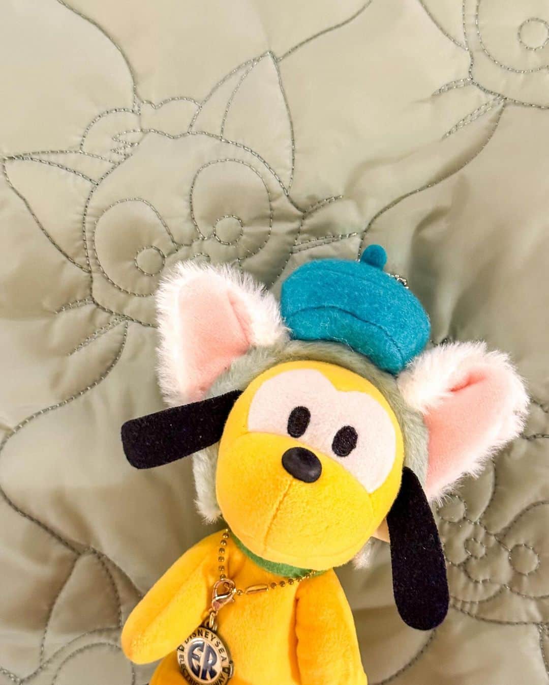 Hatamaさんのインスタグラム写真 - (HatamaInstagram)「＊  ＊  Hong Kong Disneyland Duffy and Friends Headband Keychains🎀  .  香港ディズニーランドにて新発売になった、ダッフィー＆フレンズの「カチューシャキーホルダー」🧸  可愛すぎて全種類制覇しました！🤣  バッグなどに付けるのはもちろん、ぬい撮りにもオススメです💓  1個 109HKDL  場合によっては購入券が必要になる場合があります⚠️  .  #hongkongdisneyland #hkdl #duffyandfriends #keychains  #香港ディズニーランド #カチューシャキーチェーン #カチューシャキーホルダー #ダッフィーアンドフレンズ #ぬい撮り#ディズニーグッズ」11月21日 22時41分 - hatama_1118
