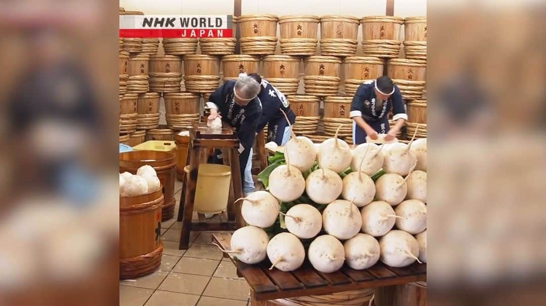 NHK「WORLD-JAPAN」のインスタグラム：「‘Senmaizuke’ or ‘thousand-layer pickles’ are a delicious Kyoto winter delicacy.❄️😋  Artisans, working the traditional way, use special planers to shave these 2kg Shogoin turnips into 2.6mm-thin slices in preparation for pickling. . 👉Watch more short clips｜Free On Demand｜News｜Video｜NHK WORLD-JAPAN website.👀 . 👉Tap in Stories/Highlights to get there.👆 . 👉Follow the link in our bio for more on the latest from Japan. . 👉If we’re on your Favorites list you won’t miss a post. . . #kyotofood #kyotocuisine #聖護院かぶら #senmaizuke #千枚漬 #千枚漬け #japanesefood #japanesetradition #pickles #japanesepickles #tsukemono #漬物 #fermentedfoods #winterfood #winterinjapan #pickledturnip #traditionalmethods #japantrip #japanfood #japantravel #japanesetradition #kyoto #nhkworldnews #nhkworldjapan #japan」