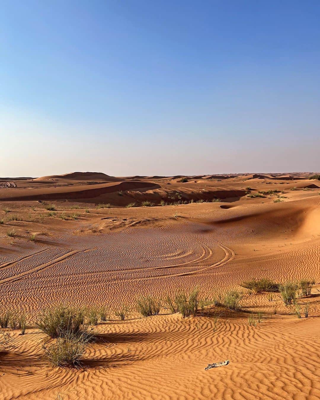 相知明日香さんのインスタグラム写真 - (相知明日香Instagram)「🏜️🐪☀️  砂漠で出逢った元気玉☄️☄️☄️☄️  •┈┈┈••✦☪︎✦••┈┈┈•┈┈┈••✦☪︎✦••┈┈┈•  🇦🇪 𝘿𝙪𝙗𝙖𝙞, 𝙐𝘼𝙀  •┈┈┈••✦☪︎✦••┈┈┈•┈┈┈••✦☪︎✦••┈┈┈•  #Dubai #UAE #MiddleEast #UnitedArabEmirates #🇦🇪 #businesstrip #trip #travel #violinist #artist #travelblog  #travelphotography #desertsafari #desert #旅するヴァイオリニストinUAE #ヴァイオリニスト #バイオリン #海外旅行 #旅 #旅行 #中東 #アラブ首長国連邦 #ドバイ #ドバイ観光  •┈┈┈••✦☪︎✦••┈┈┈•┈┈┈••✦☪︎✦••┈┈┈•」11月21日 23時39分 - asukalohappy