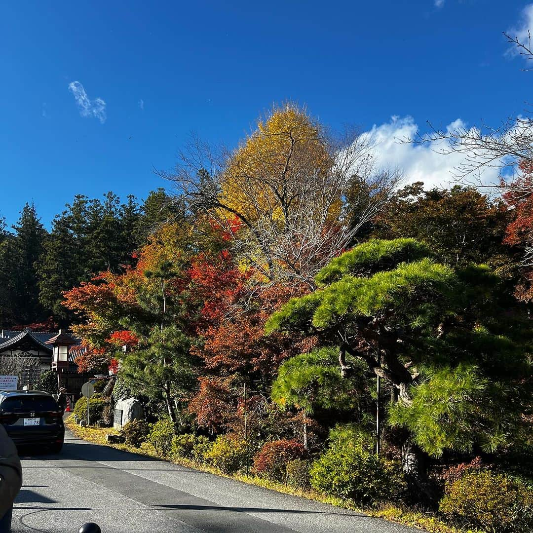 柿崎洋一郎さんのインスタグラム写真 - (柿崎洋一郎Instagram)「紅葉を見に宝登山神社へ」11月21日 23時44分 - kakiyan37