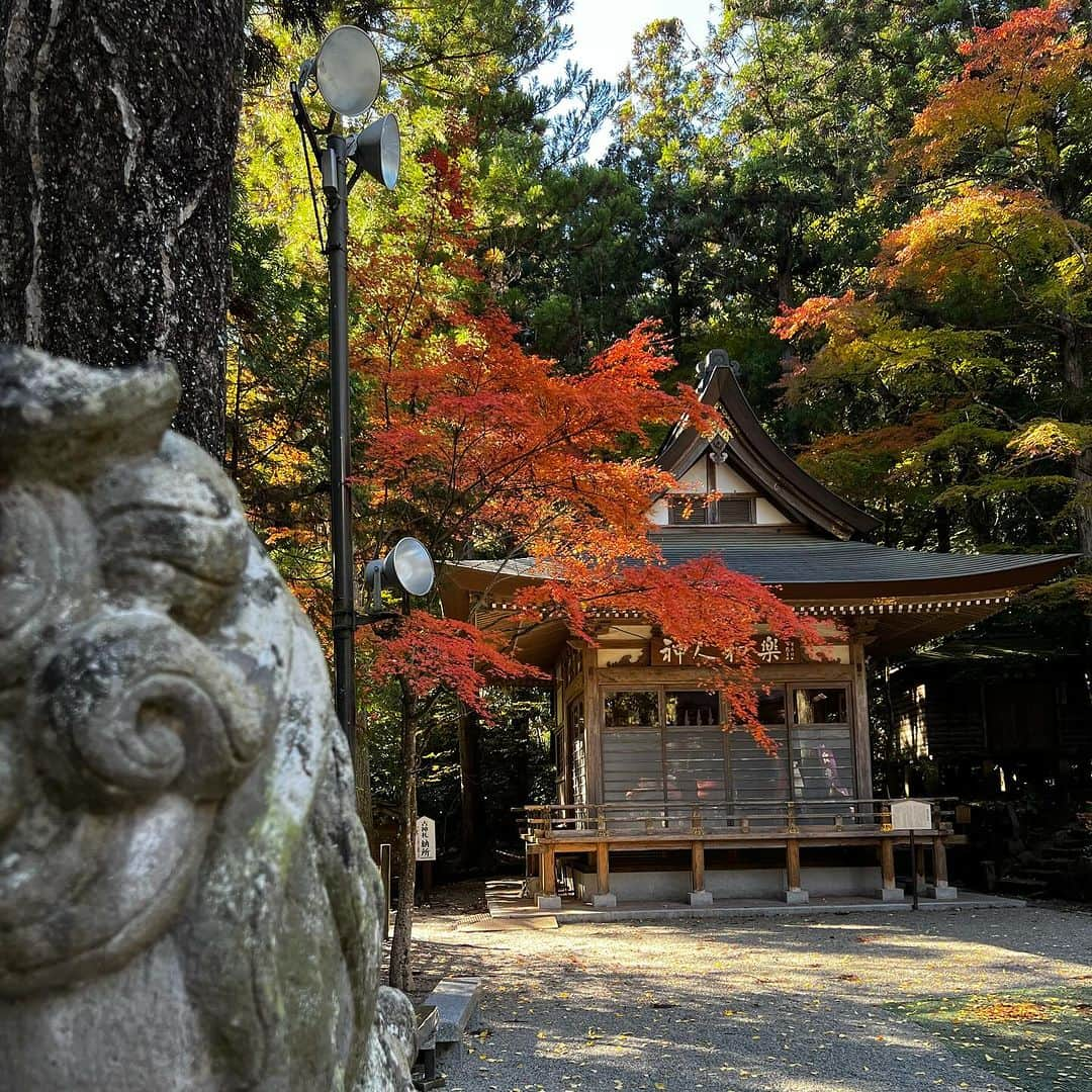 柿崎洋一郎さんのインスタグラム写真 - (柿崎洋一郎Instagram)「紅葉を見に宝登山神社へ」11月21日 23時44分 - kakiyan37