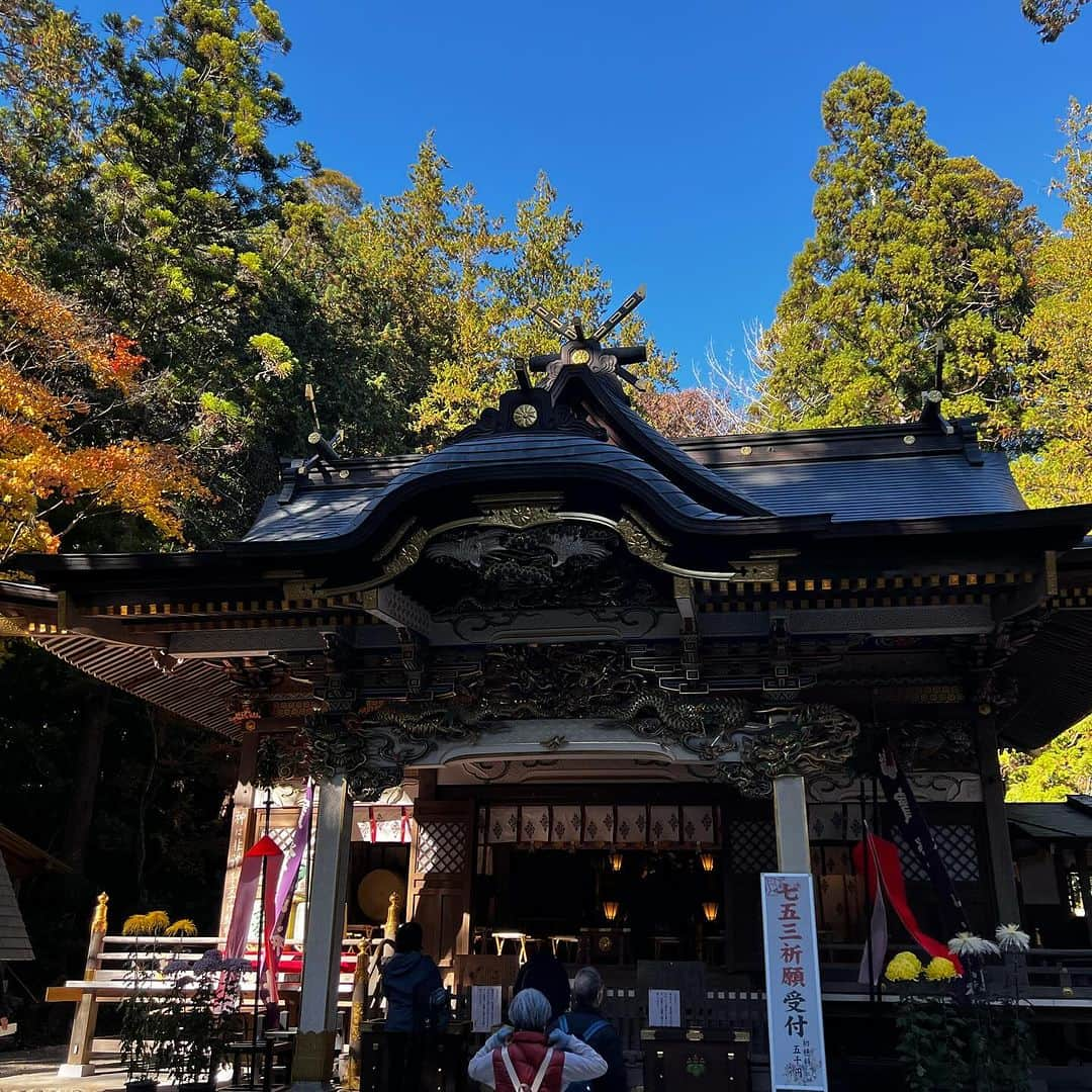 柿崎洋一郎さんのインスタグラム写真 - (柿崎洋一郎Instagram)「紅葉を見に宝登山神社へ」11月21日 23時44分 - kakiyan37