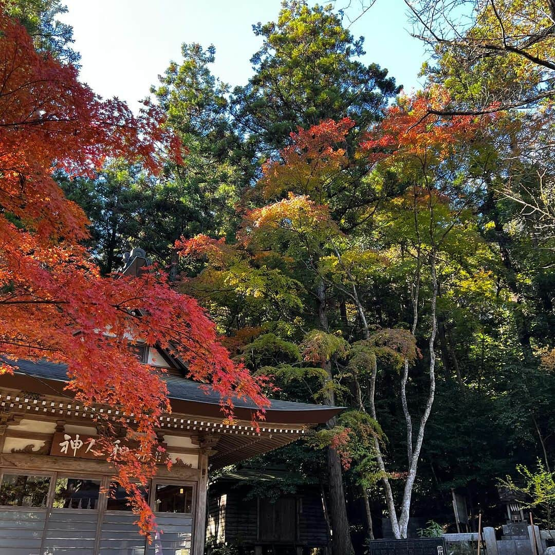 柿崎洋一郎さんのインスタグラム写真 - (柿崎洋一郎Instagram)「紅葉を見に宝登山神社へ」11月21日 23時44分 - kakiyan37