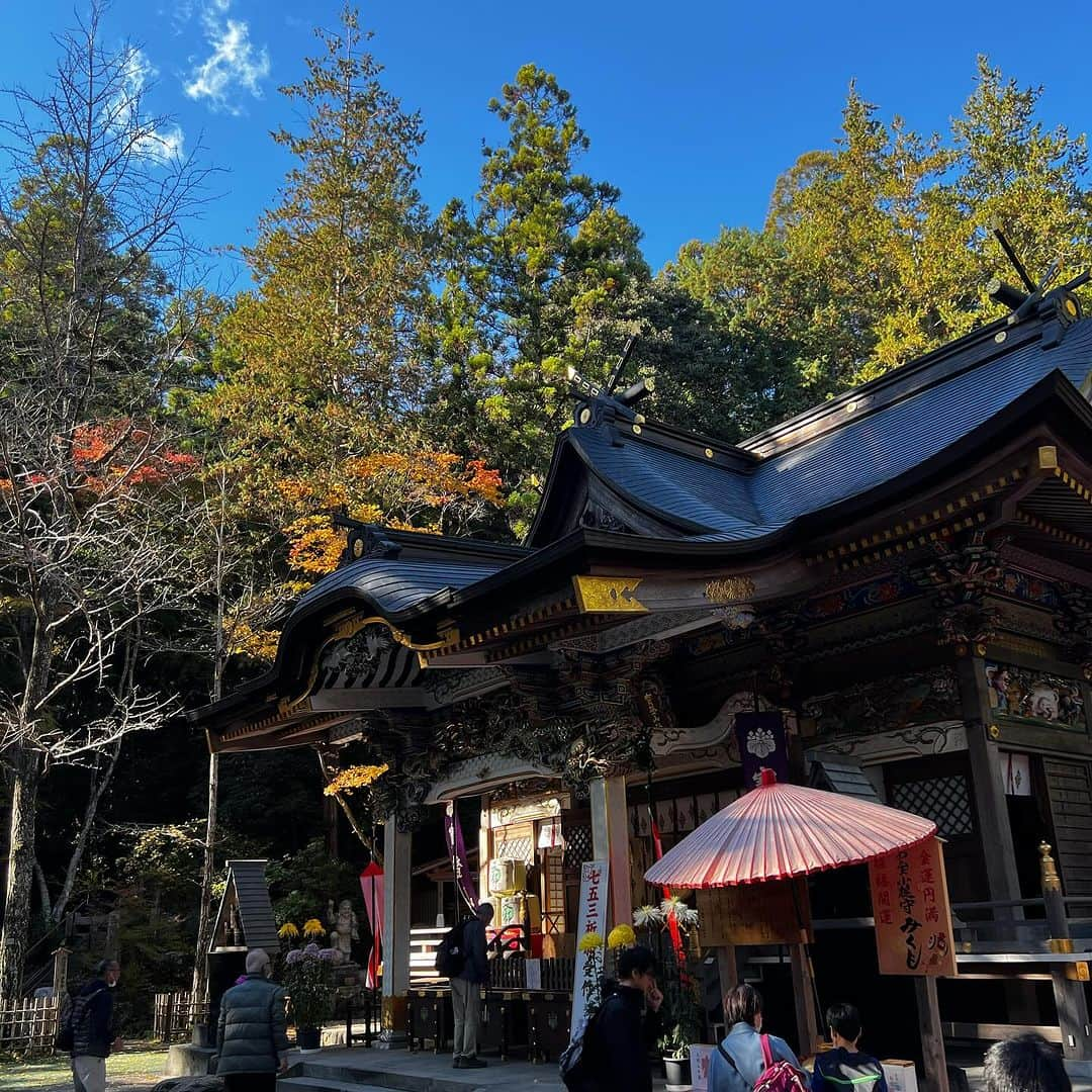 柿崎洋一郎さんのインスタグラム写真 - (柿崎洋一郎Instagram)「紅葉を見に宝登山神社へ」11月21日 23時44分 - kakiyan37