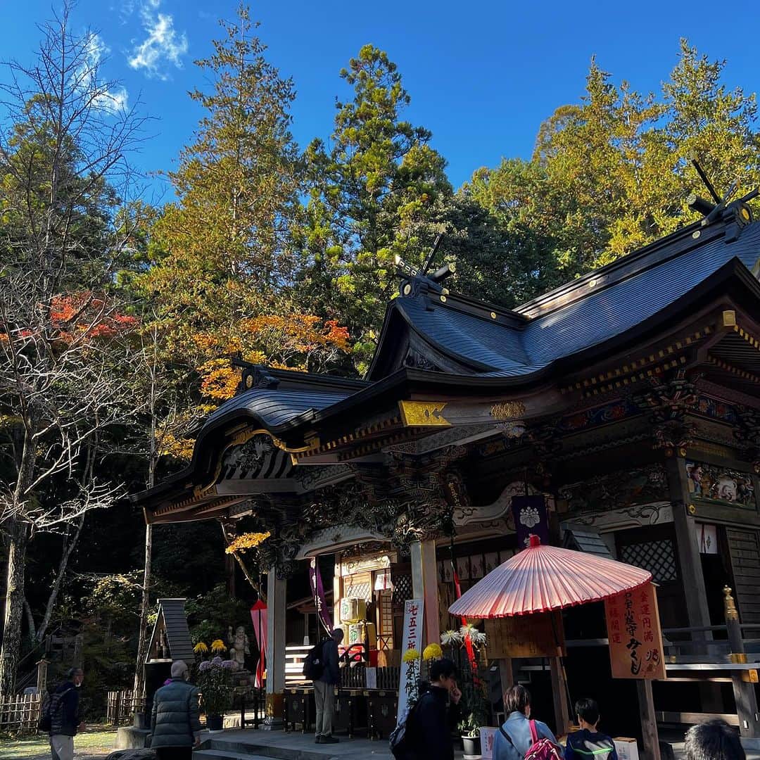 柿崎洋一郎のインスタグラム：「紅葉を見に宝登山神社へ」