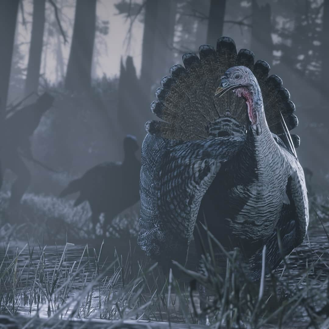 ロックスター・ゲームズのインスタグラム：「Celebrate Thanksgiving this week in Red Dead Online — play anytime between now and November 27 to receive provisions for a bountiful feast.   Plus, Traders get 5X RDO$ and XP on Turkey Carcass Sales. Visit the link in our bio to the Rockstar Newswire for more details on all Red Dead Online bonuses.」