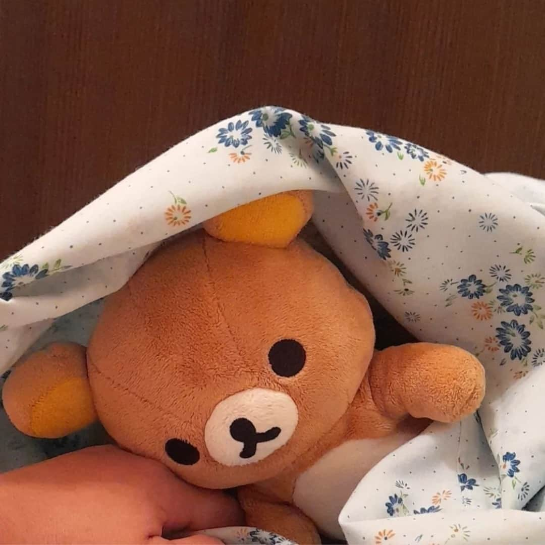 Rilakkuma US（リラックマ）さんのインスタグラム写真 - (Rilakkuma US（リラックマ）Instagram)「@elmamabento has captured a sweet moment of a resting Rillakkuma. 🛏☀️ There's nothing like cuddling in some soft blankets in the morning. 🌅  #rilakkumaus #rilakkuma #sanx #sanxoriginal #kawaii #plush #plushies #リラックマ #サンエックス #sleep」11月22日 0時04分 - rilakkumaus