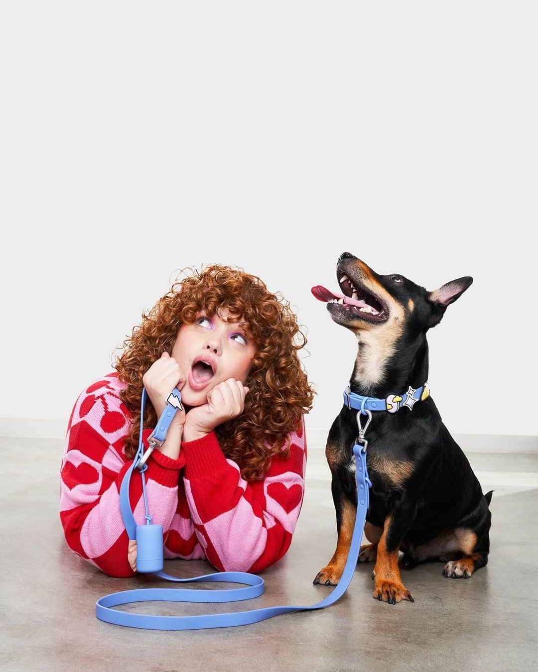 ブリー・キッシュのインスタグラム：「bree 🤝 dogs」