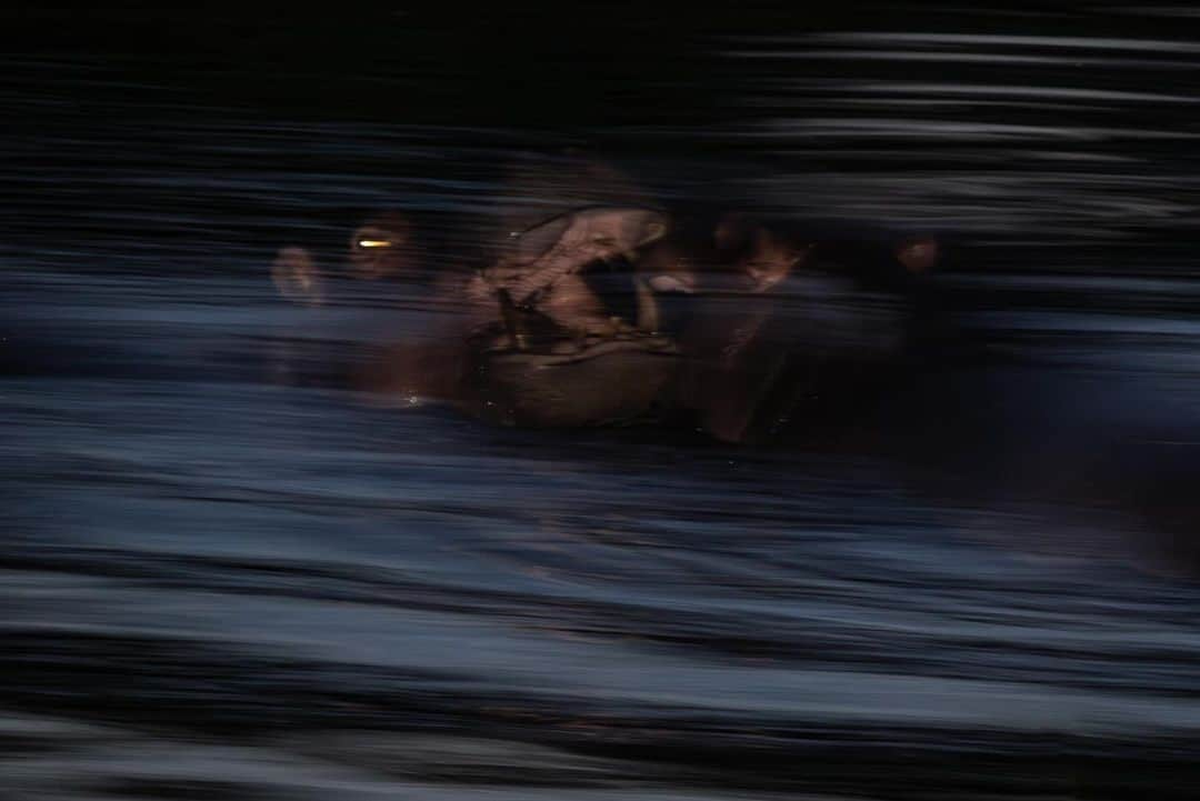 Keith Ladzinskiさんのインスタグラム写真 - (Keith LadzinskiInstagram)「Hippos, splashing and playing in the late twilight hours along the Sabi Sabi Preserve, South Africa.  - @sabisabireserve @canonusa @nomatic @tjtriage @brittmumma」11月22日 0時34分 - ladzinski