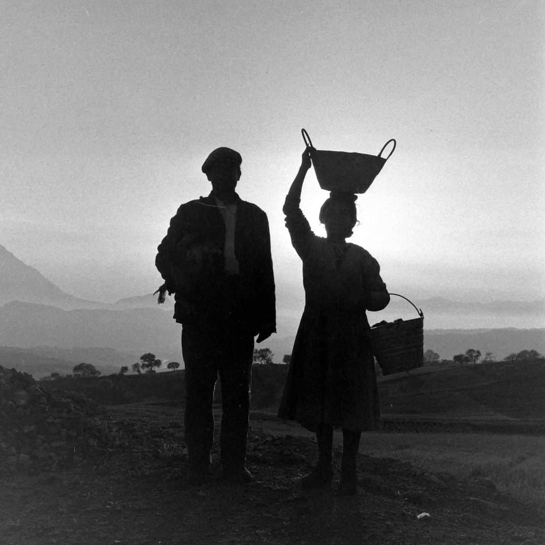 lifeのインスタグラム：「Silhouette of man and woman on their farm in Italy, 1947.   (📷 Alfred Eisenstaedt/LIFE Picture Collection)   #LIFEMagazine #LIFEArchive #LIFEPictureCollection #AlfredEisenstaedt #1940s #Italy #Farm #Couple」