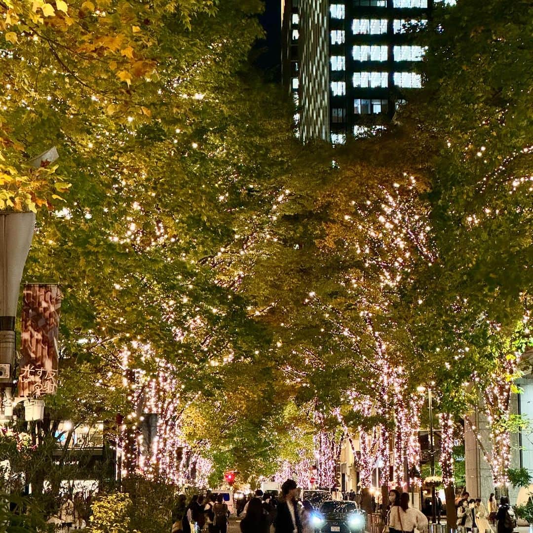牛窪万里子さんのインスタグラム写真 - (牛窪万里子Instagram)「昨日静岡からの帰路、東京駅から二重橋前まで歩いてみました。  丸の内の中通りは、クリスマスイルミネーションで華やか！もう街中はクリスマスムードですね🎄  今年も終盤。あっという間に終わりそうな勢い。  #丸の内 #イルミネーション #クリスマスイルミネーション」11月22日 0時50分 - mariko_ushikubo