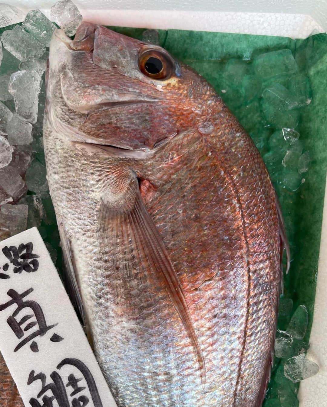イトウジュン（タイ料理研究家）さんのインスタグラム写真 - (イトウジュン（タイ料理研究家）Instagram)「【コラボレッスンのお知らせ】 渋谷すしき✖️ビューティタイ料理 魚は身体で覚えましょう😊❣️ 盛りだくさんのレッスンです  🐟メニュー（その日の仕入れによって決定）🐟 1. 季節のお魚を捌いてメインのお料理（ノドグロor鯛etc）煮魚・フライ・その他 2. お刺身の切り方（刺身を引く） 3. お刺身の盛り付け方 4. 切り身で作るタイ料理前菜（クンチュープラー） 5. 中巻き 2種類（お家で中巻きを作れると豪華！自慢できる１品です） 6. 渋谷すしきで人気メニュー１品付 7. タイ料理デザート付 8. 乾杯ドリンク付  ・レッスン費用 11000円（税込） ・12月10日　13時スタート  ✨渋谷すしき大将の紹介✨ 日紫喜 智（Satoshi Hishiki） 株式会社フィッシュウェル代表取締役。東京都出身。海鮮居酒屋を営む父の仕事を手伝いながら育った10代。地元八王子北野で、愛される父の店を継ぎたいと言う思いで、外へ修行に出ようと決意。ホテル勤務を経て、25歳の時に『ここで働きたい!』と思える【吉祥寺魚真】と出会い魚料理の修行へ。2年後、下北沢店に移動となり本格的に刺身を学ぶ。2011年3月に経営者となり現在は都内8店舗オーナー。 　新鮮でうまい魚を安価で提供できる、お客様から愛される店をやりたいと言う想いで自らが仕入れをし、鮨を握流だけでなく、魚料理も考案している。現在は海外事業にも力を入れており、インドネシアでも新業態を考え中。  是非よろしくお願いします😊❣️ ご興味ある方はコメント欄か直接メッセージくださいね🐟😋  #お魚レッスン #魚をさばく  #刺身の盛り付け  #刺身を引く  #魚料理レシピ  #魚レッスン #タイ料理レッスン #ビューティタイ料理 #タイ料理教室  #お魚料理教室 #大人の習い事 #東京習い事 #渋谷すしき #すしき #イトウジュン #タイ料理研究家 #中巻きレッスン #寿司レッスン #料理教室 #お魚スパルタ塾  #お魚スパルタレッスン #写真はイメージ画像です」11月22日 1時32分 - junito.13