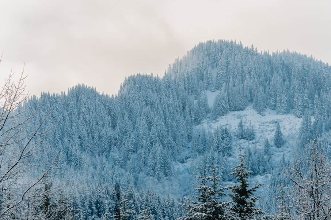 Snow Peak USAさんのインスタグラム写真 - (Snow Peak USAInstagram)「Escape the busyness and embrace nature's peace and quiet.」11月22日 2時04分 - snowpeakusa