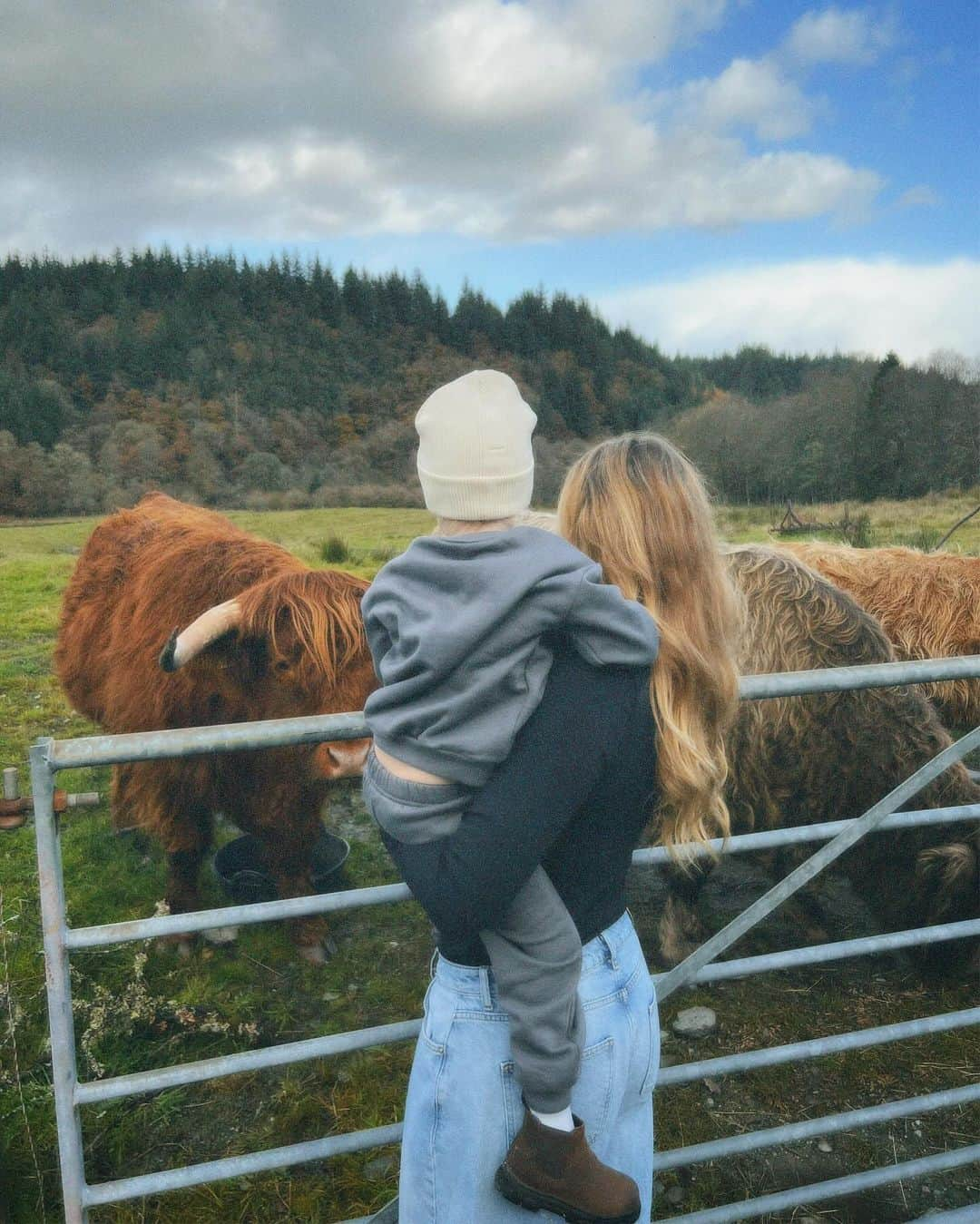 Alex Centomoさんのインスタグラム写真 - (Alex CentomoInstagram)「Scotland, you were good 🏴󠁧󠁢󠁳󠁣󠁴󠁿🏰🥃✨」11月22日 3時33分 - alexcentomo