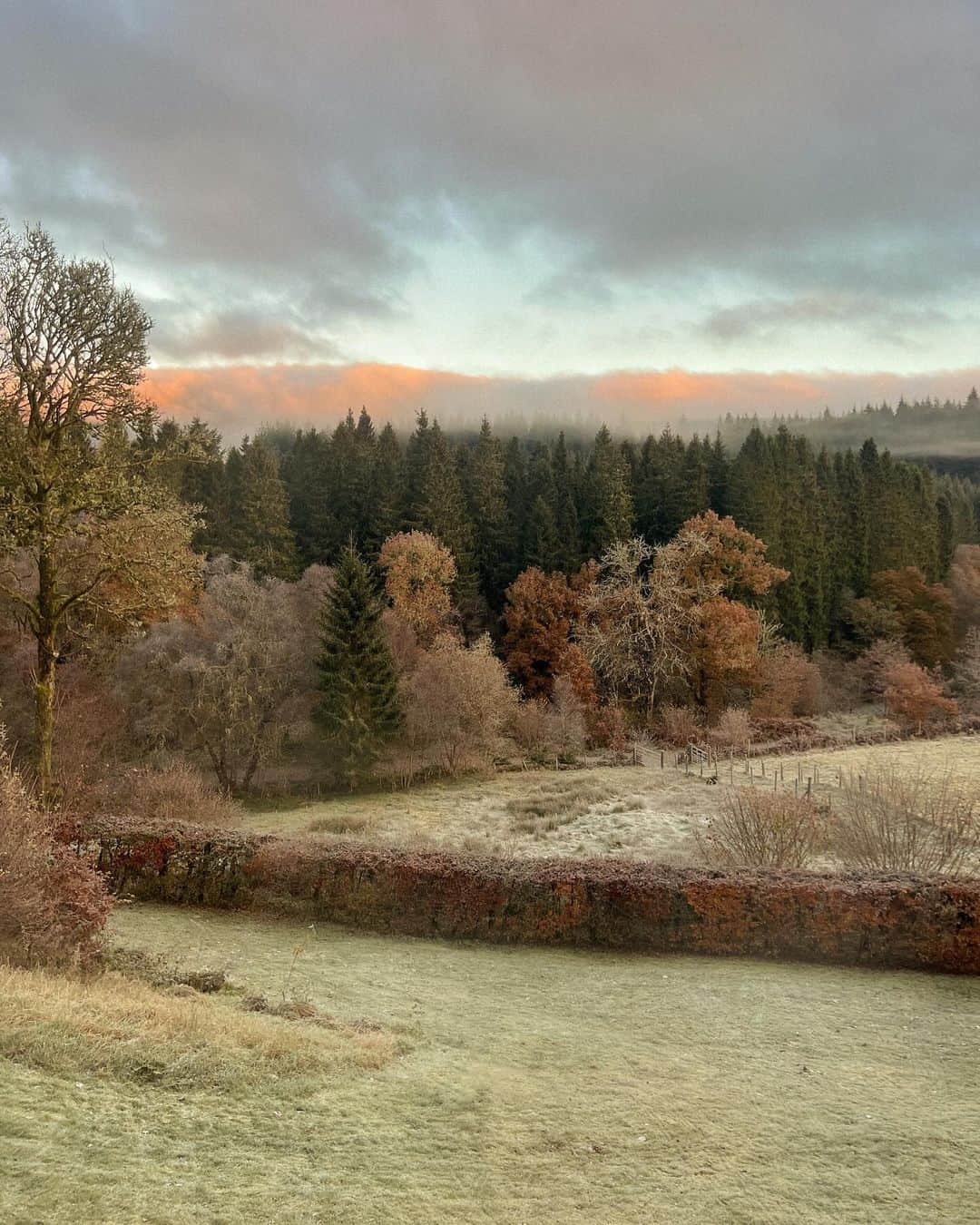 Alex Centomoさんのインスタグラム写真 - (Alex CentomoInstagram)「Scotland, you were good 🏴󠁧󠁢󠁳󠁣󠁴󠁿🏰🥃✨」11月22日 3時33分 - alexcentomo