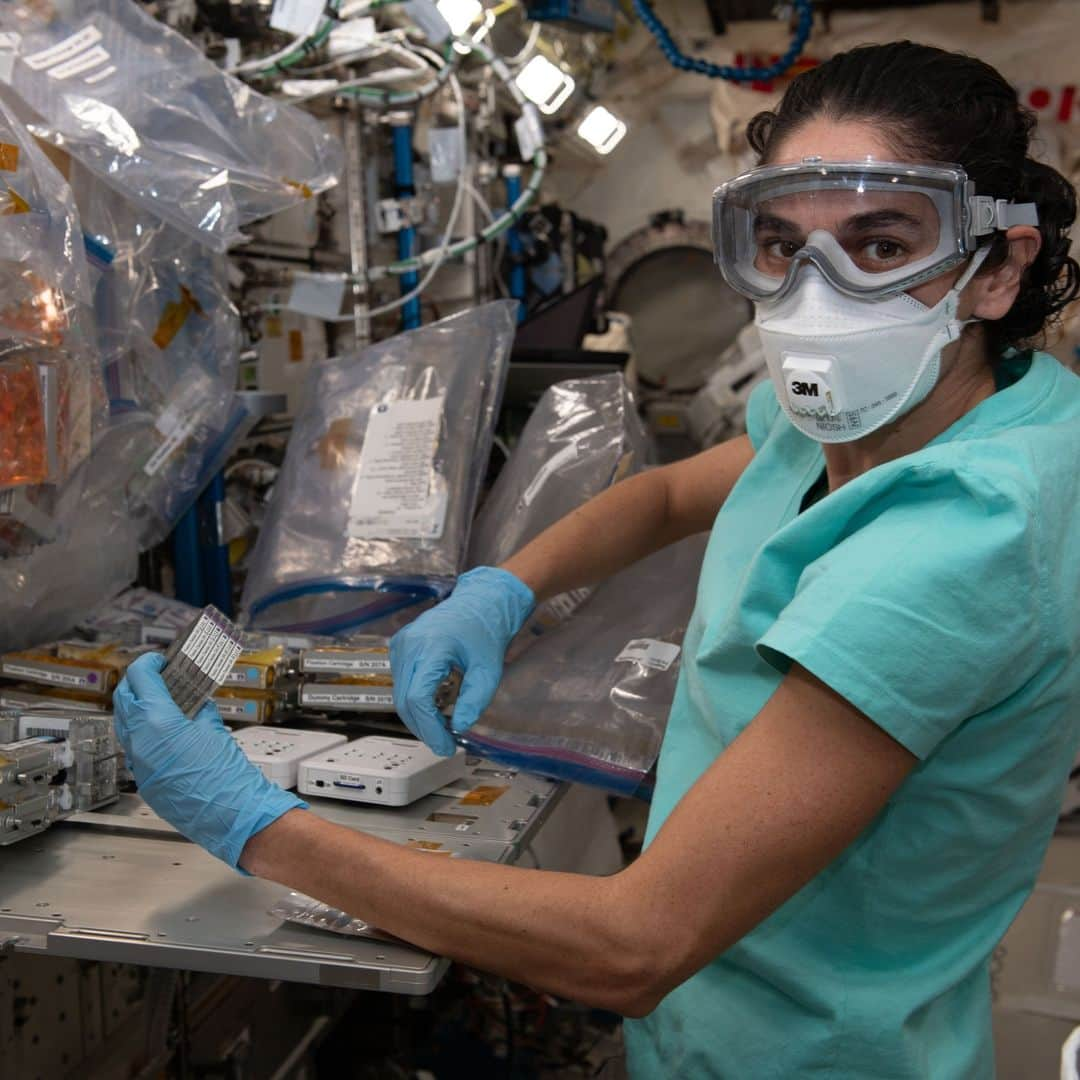 国際宇宙ステーションさんのインスタグラム写真 - (国際宇宙ステーションInstagram)「Space station astronauts are assisting scientists representing NASA and its international partners who are collecting a multitude of physiological and psychological data from crew members for insights unachievable on Earth.  Pic 1) NASA astronaut Loral O'Hara treats brain cell-like samples for the Cerebral Ageing space biology study. Results may provide deeper knowledge into accelerated ageing symptoms seen in space and neurodegenerative diseases experienced on Earth.  Pic 2) ESA (European Space Agency) astronaut Andreas Mogensen operates a microscope to capture imagery of brain cell-like samples for the Cerebral Ageing space biology study.  Pic 3) JAXA (Japan Aerospace Exploration Agency) astronaut Satoshi Furukawa turns off a microscope and removes samples for the Cell Gravisensing space biology study. The investigation may lead to improved therapies treating conditions such as muscle atrophy and osteoporosis both on Earth and in space.  Pic 4) NASA astronaut Jasmin Moghbeli processes cell samples for the Cell Gravisensing experiment.  #nasa #esa #jaxa #astronaut #science #research #biology #health #disease #microscope #international #space #station」11月22日 3時49分 - iss