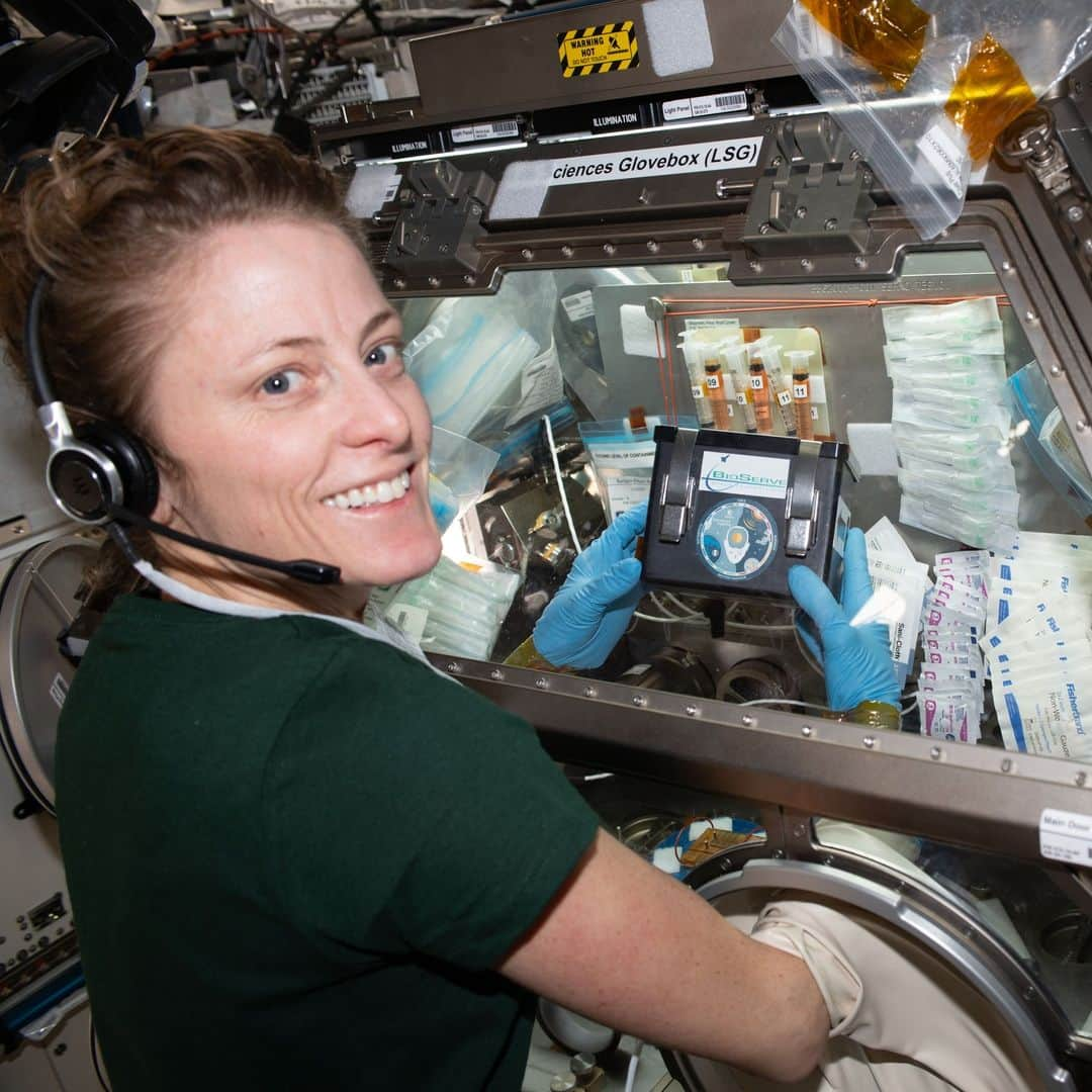 国際宇宙ステーションのインスタグラム：「Space station astronauts are assisting scientists representing NASA and its international partners who are collecting a multitude of physiological and psychological data from crew members for insights unachievable on Earth.  Pic 1) NASA astronaut Loral O'Hara treats brain cell-like samples for the Cerebral Ageing space biology study. Results may provide deeper knowledge into accelerated ageing symptoms seen in space and neurodegenerative diseases experienced on Earth.  Pic 2) ESA (European Space Agency) astronaut Andreas Mogensen operates a microscope to capture imagery of brain cell-like samples for the Cerebral Ageing space biology study.  Pic 3) JAXA (Japan Aerospace Exploration Agency) astronaut Satoshi Furukawa turns off a microscope and removes samples for the Cell Gravisensing space biology study. The investigation may lead to improved therapies treating conditions such as muscle atrophy and osteoporosis both on Earth and in space.  Pic 4) NASA astronaut Jasmin Moghbeli processes cell samples for the Cell Gravisensing experiment.  #nasa #esa #jaxa #astronaut #science #research #biology #health #disease #microscope #international #space #station」