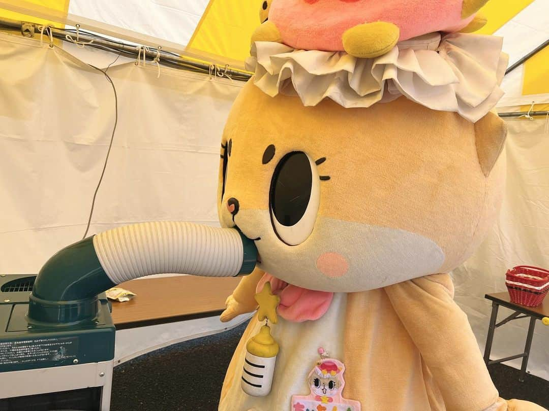 ちぃたん☆のインスタグラム：「有り余った妖精パワーを放出中ですっ☆ちぃたん☆ですっ☆  release energy!! #おすそ分け #解放 #ゆるキャラ #ちぃたん」