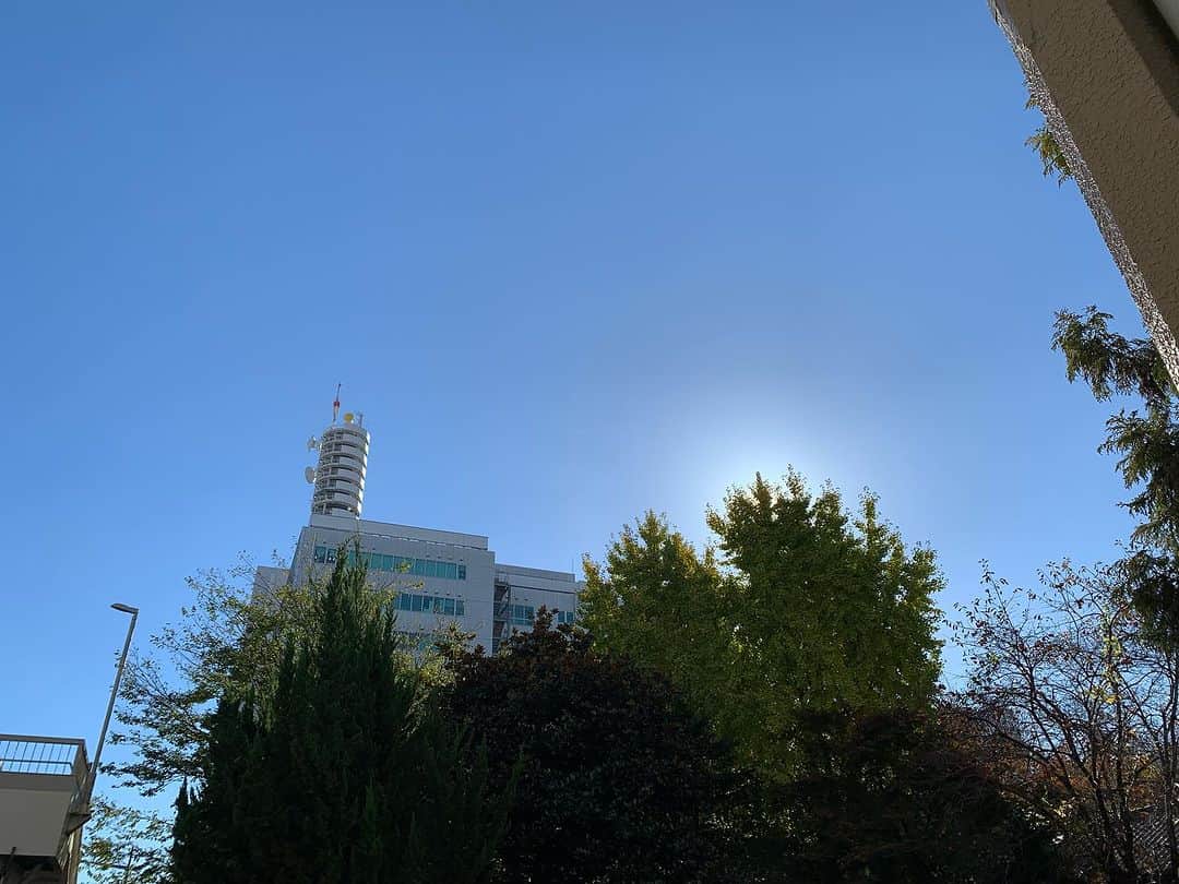 都竹悦子のインスタグラム：「どんなに今日の名古屋が飛騨と比べてあったかいか！ 写真で温度が伝わればいいのにー！ 飛騨から向かってくると、車のエアコンは当然クーラーに自動で変わる。（体感的には岐阜大和くらいで。）  そして暖かさに癒されながらふと駐車場から東海テレビへ向かうと、 ビオトープ的なオブジェに… あれ？こんな巨大な金魚がいたなんて！ 今まで知らなかった！！ 都会で生き抜く逞しさ。多分冬の街頭でも凍らないに違いない。  よーし！私も逞しくいくぞ！ 今日のワンスポットは、 夫婦岩で愛を叫ぶイベント！にスポットを当てるVTR。夕方6時台です。  そうです！今日は11月22日、いい夫婦　の日(o^^o)！  我が家では主人は今夜予定が3件入っていてそれどころではないらしい笑 祝日前、ぜひ夕方ゆっくりご覧ください！  #ワンスポット　#ナレーター　#都竹悦子　#いい夫婦の日」