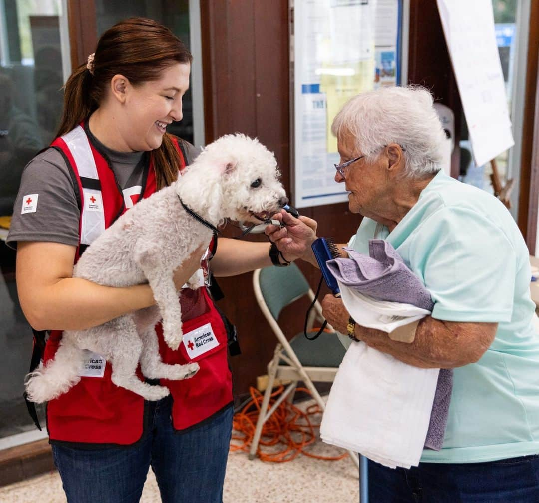 ネーブ・キャンベルのインスタグラム：「Twenty-five $1 billion disasters have ravaged communities across the country this year and forced thousands of people to flee their homes for safety.  Mary and her senior dog, Fluffy, went to a Red Cross shelter for help following Hurricane Idalia. She was grateful to receive the care and assistance from Red Cross volunteers while there. “They really look after us here.”  Due to the climate crisis, hurricanes are becoming more intense and destructive. Help us continue to support people affected by them by making an early #GivingTuesday gift today!  Tap the link in our bio to donate.  #GiveWithMeaning #ClimateCrisis #ClimateAction #DisasterResponse #DisasterRelief #HolidayGiving」