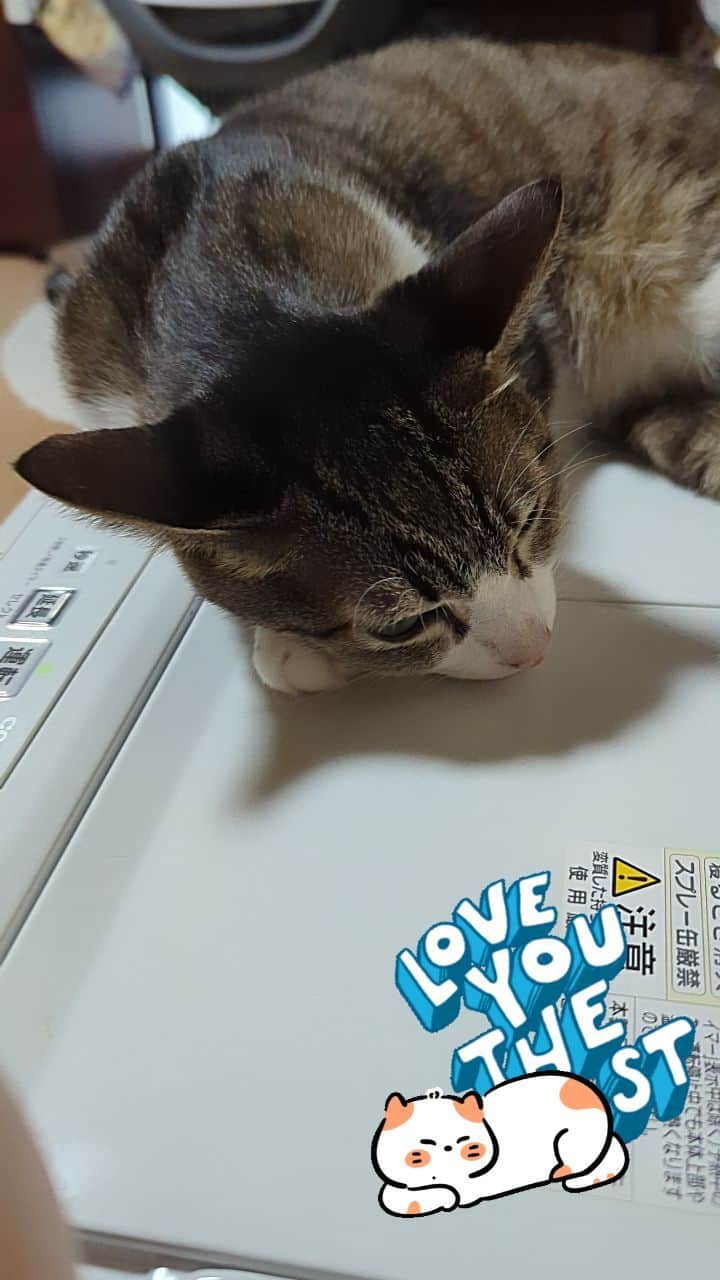 MAKO0MAKO0のインスタグラム