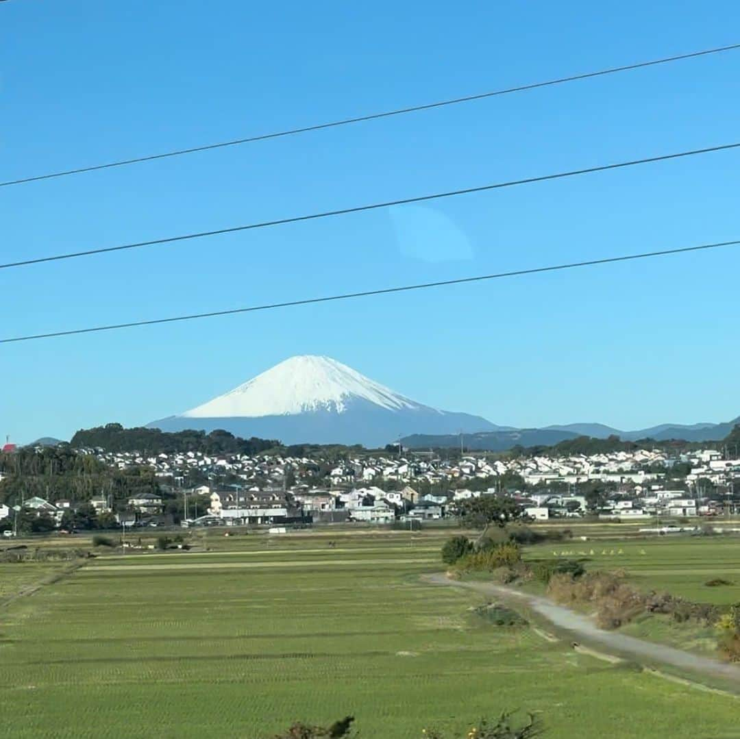 松井絵里奈さんのインスタグラム写真 - (松井絵里奈Instagram)「新番組🗻 テレビ東京『厳選いい旅』  福井、伊豆、伊香保！名湯と冬の味覚満喫SP  2023年11月23日(木・祝) 夕方5時20分～6時25分 放送  私は、なすなかにしさんと 伊豆・修善寺温泉へ♨️  しいたけ狩りに、 嬉しい無料サービス満載の趣のあるお宿。  ぜひ、ご覧くださいませ〜♪  ロケ達人のなすなかにしさんが 面白すぎて、現場では ずーっと笑い声が✨🤭 わきあいあいと、楽しいロケでしたꉂ(ˊᗜˋ*)‪‪‪‪𐤔𐤔‬‪  TVerでも配信されますので、 放送圏外の方は、TVerにて🫶  #厳選いい旅 #なすなかにし　さん #伊豆 #名湯#修善寺温泉#♨️ #温泉好きな人と繋がりたい #旅好きな人と繋がりたい  #trip#japan @gensen_iitabi」11月22日 7時44分 - erina74xx