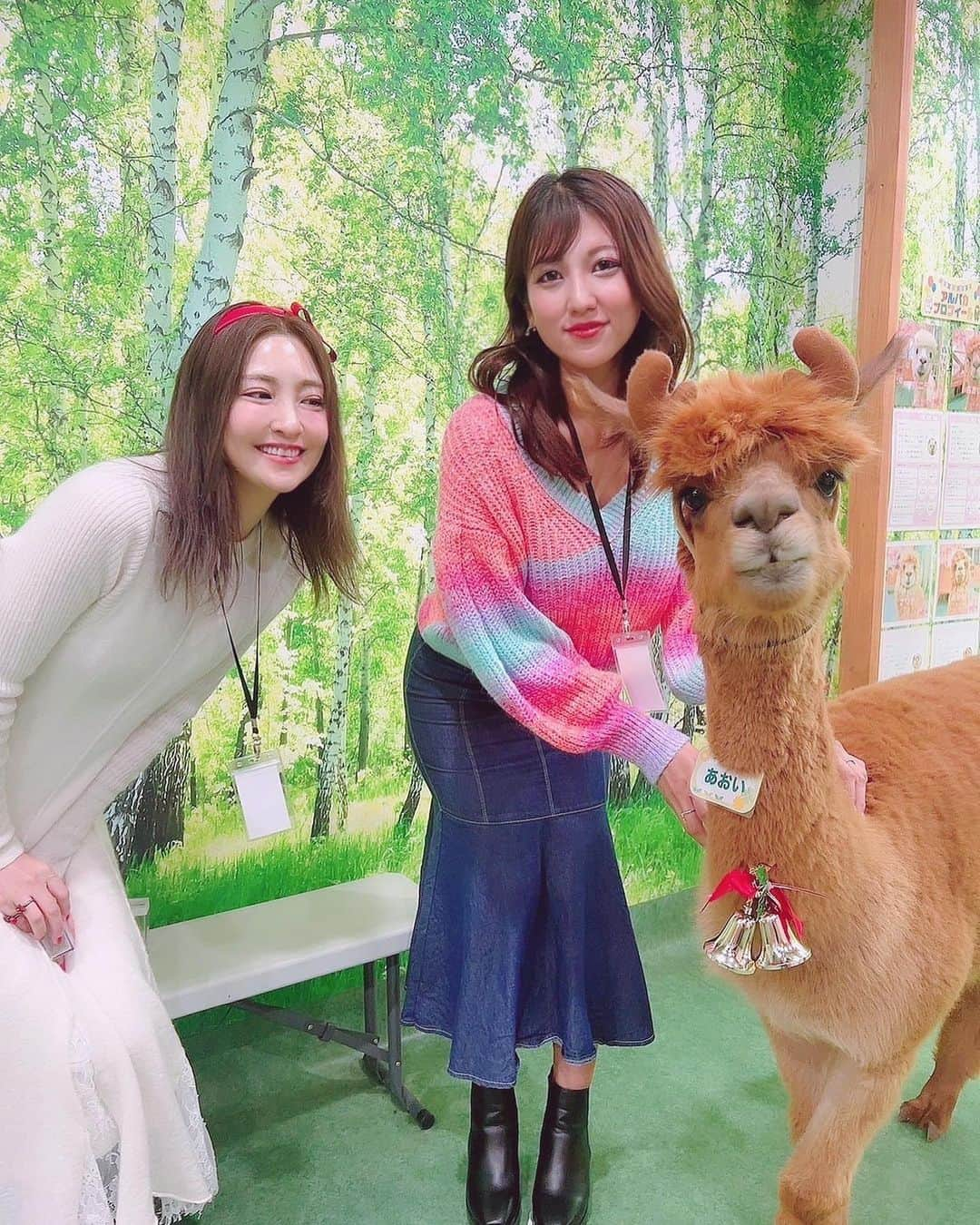 神谷麻美さんのインスタグラム写真 - (神谷麻美Instagram)「#アルパカ 可愛いすぎる💖🦙🌈💖✨️   #もふもふ ❤️💖꒰⑅•ᴗ•⑅꒱💖❤️✨️ もっともふもふが好き🥰💖✨️   #癒された ☺️💖✨️  動物界で1番好きだぁ🦙❤️✨️  #alpaca 👼🏻💖✨️  あ🥰もちろん1番大好きはキング君❤️🐩✨️  #トイプードル 👼🏻💖✨️  昨日もいろんなところ行って楽しかった💖🥰🥰💖✨️   #おはよう 🌞🌈💖✨️」11月22日 8時32分 - asamice428