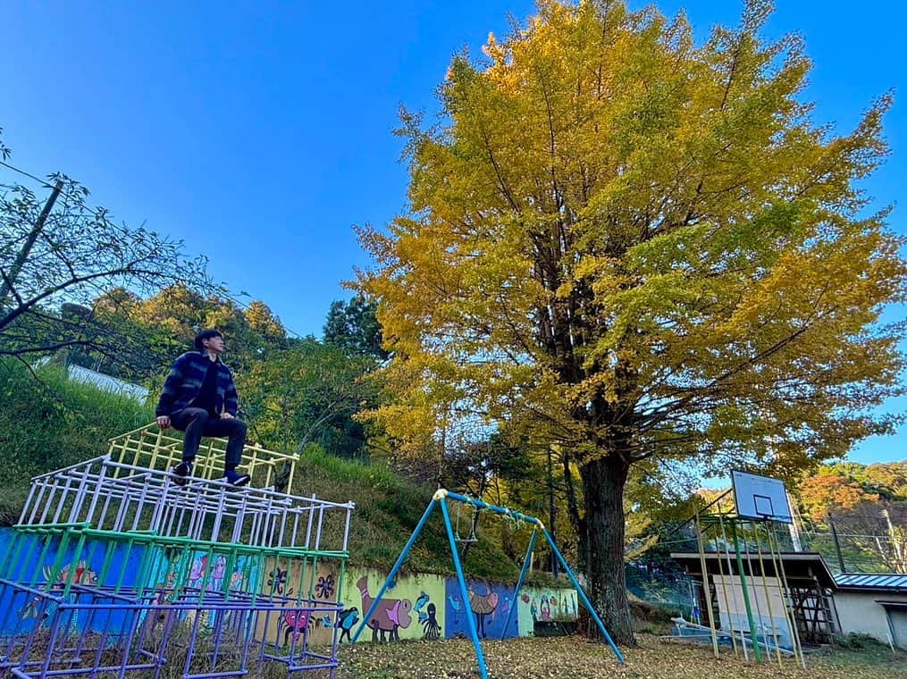 依田司さんのインスタグラム写真 - (依田司Instagram)「11月22日(水) 2007年に廃校となった千葉県市原市の「月出小学校」。現在小学校の校舎がリノベーションされ、その一室は「ヤマドリ珈琲」というカフェになっています。 見頃となった校庭の大きなイチョウを眺めながら、お店の本格焙煎機で引いた、美味しい珈琲が楽しめます。 さらに、現在「アートキャンプ2023」が開催中で、校舎の各所で、様々な芸術作品が鑑賞できます。とても良いコラボですね。カフェは土日のみの営業。アート作品は土日祝に鑑賞可能です。  #ヤマドリ珈琲 #アートキャンプ2023 #DoCLASSE #ドゥクラッセ #依田さん #依田司 #お天気検定 #テレビ朝日 #グッドモーニング #サタデーステーション #気象予報士 #お天気キャスター #japan #japantrip #japantravel #unknownjapan #japanAdventure #japanlife #lifeinjapan #instagramjapan #instajapan #療癒 #ilovejapan #weather #weathercaster #weatherforecast」11月22日 8時33分 - tsukasa_yoda