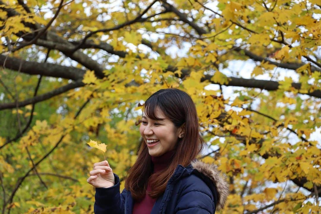 荒木優里さんのインスタグラム写真 - (荒木優里Instagram)「🍁 グランドセントラルから電車で1時間半🚃⭐️  Cold Springにお友達夫婦と行って来ました〜😆🩷  ハイキングで人気の場所だそうですが🥾 今回私たちはのんびり街の散策を楽しむことに😁😁  メインストリートは アンティークショップや雑貨屋さんなど 小さなお店が並んでいて とってもかわいい素敵な雰囲気💓  紅葉は少しピークを過ぎていたものの… 鮮やかな赤や黄色に色付いた葉と のどかな村の景色は最高に美しかったなぁ🥰✨  大都会のNYもいいけど、 こういう心落ち着くショートトリップも大好きだ💕  #coldspring #shorttrip #コールドスプリング #アメリカ生活 #アメリカ暮らし #ニューヨーク #ニューヨーク生活  #ニューヨーク暮らし #ニューヨーク在住 #Newyork #NYC #NY #アメリカ在住日本人 #帯同妻 #渡米記録 #海外生活 #travel #trip #旅行好き #アナウンサー #フリーアナウンサー #荒木優里 #荒木優里のゆるりアメリカ生活」11月22日 8時55分 - yuriaraki0726