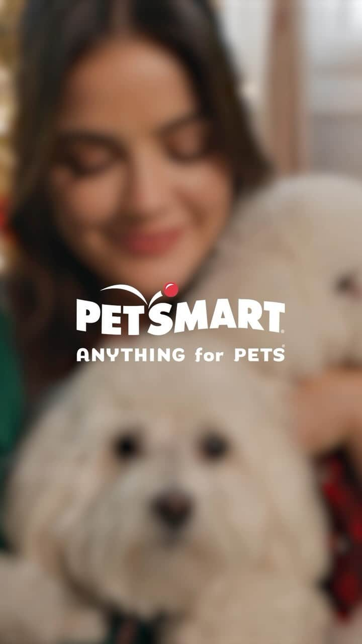 ルーシー・ヘイルのインスタグラム：「#PetSmartPartner Elvis, Ethel and I are so excited to team up with @petsmart this holiday season and share what it’s like to do #AnythingForPets 🎁 ps. They were absolute superstars.」