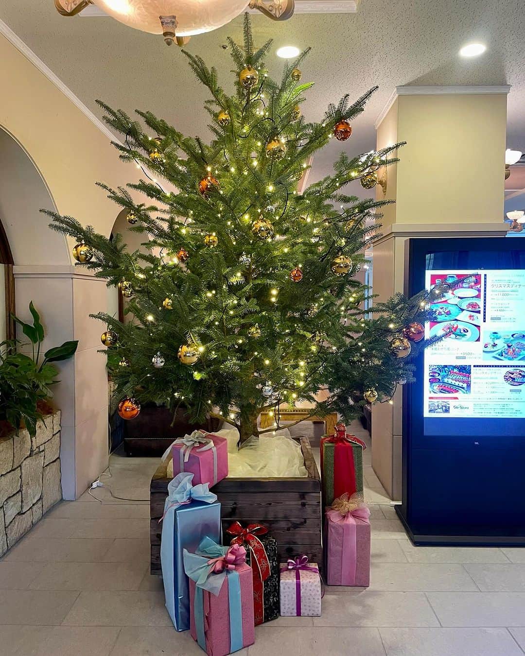 長崎ロイヤルチェスターホテルのインスタグラム：「ロイチェのロビーにクリスマスツリーが設置されましたよ🎄✨ 毎年好評のクリスマスディナーも行いますので、ぜひロイチェへお越しくださいね♪  #クリスマスツリー #クリスマス #クリスマスディナー #ロイチェ」