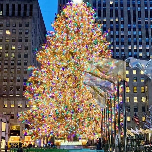 インディビジュアライズド シャツのインスタグラム：「2023 Rockefeller Center Christmas Tree  Are you ready for Christmas shopping?  #individualizedshirts  #americantraditional  #madeinusa #ivystyle #mensfashion #mensstyle #スタイリング　#ファッション」