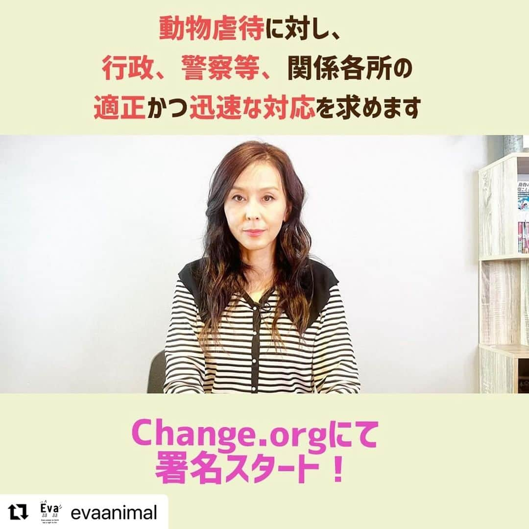 杉本彩のインスタグラム：「#Repost evaanimal with @use.repost ・・・ オンライン署名をスタートしました。  2025年の動物愛護管理法改正に向け、今年の夏から議論が始まりました。  これまで動愛法は4度改正されてきました。 また2021年6月には環境省令で数値規制も施行されましたし、多頭飼育対策ガイドラインや動物虐待対応ガイドラインも策定されました。  しかしながらこのように具体的かつ明確な法律やガイドラインがあるにも関わらず、動物虐待事件は一向に減りません。  当協会には、動物虐待の通報が多数寄せられます。 中には非常に深刻で逼迫している事案もあります。  ですが、その虐待事件の現場に、例えば物的証拠である動物の死体があり行政が現認したとしても、「虐待ではない」とか「自然死かもしれないから虐待に当たらない」などとされ、加害の事実が明らかであっても虐待と認めないことが全国的な問題となっています。  どんなに良い法改正や実効的な環境省令が出来ても、現場で前に進めず“何も起きていない”と、なかったことにしたら、法律や省令はまさに「絵に描いた餅」です。  そこで、動愛法改正前に動物虐待事件に対し、動物愛護行政、警察等、関係各所に向け適正かつ迅速な対応を求めます。  ぜひ皆さまの声、皆さまの力をお貸しください。  ※締切日は追ってご連絡します。  ■署名スタート！「動物虐待に対し、行政、警察等、関係各所の適正かつ迅速な対応を求めます！」 https://chng.it/TYyxjKR7pQ ————— ★ご注意★ changeで署名に賛同すると、「Change.orgを月額でサポートしていただけませんか？」と書かれたページに遷移しますが、寄附をしなくても署名は可能です。 またここで表示される寄附は、当協会Evaへの寄附ではなく、署名サイトを運営するchange.orgへの支援になりますのでご了承ください。  #署名スタート！ #Change.org #動物虐待 #行政、警察等、関係各所の適正かつ迅速な対応を求めます  #動物愛護法改正　　 #動物環境福祉協会eva #杉本彩」