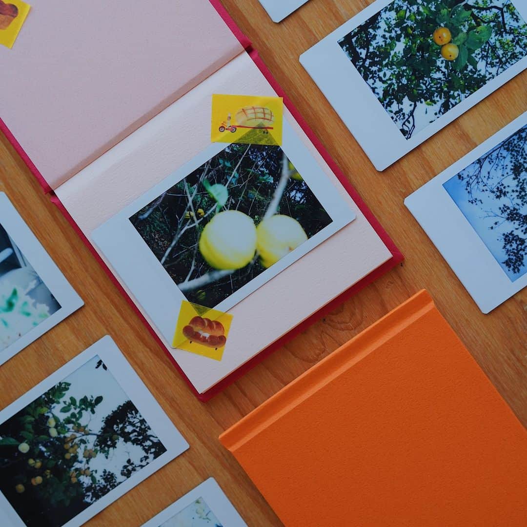 東京都庭園美術館さんのインスタグラム写真 - (東京都庭園美術館Instagram)「申込締切迫る! 🍂庭園美術館 秋の写真絵本づくりワークショップ ＼小学生対象／🍂12月2日開催  #秋 の庭園の様子をインスタントカメラで撮り、その写真を用いた手のひらサイズの写真絵本づくりを実施します。実際に庭園を散策し、お気に入りの瞬間を撮りながら、それらをもとに絵本をつくります!  詳細・申込はウェブサイトのイベント欄より👉  #東京都庭園美術館 #旧朝香宮邸 #庭園 #紅葉 #紅葉 #おさんぽ #東京 #tokyometropolitanteienartmuseum #teienartmuseum #garden #tokyo #tokyomuseums #momiji #maple」11月22日 10時46分 - teienartmuseum