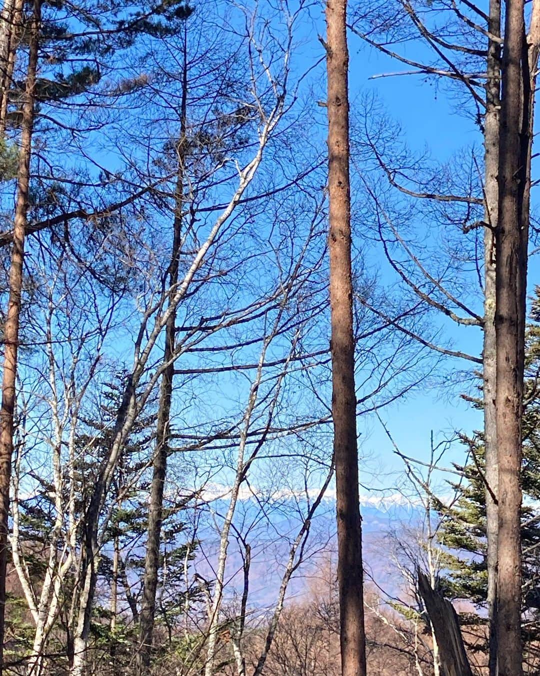 井上荒野さんのインスタグラム写真 - (井上荒野Instagram)「白い横線は雪をかぶった山です」11月22日 10時40分 - arereno