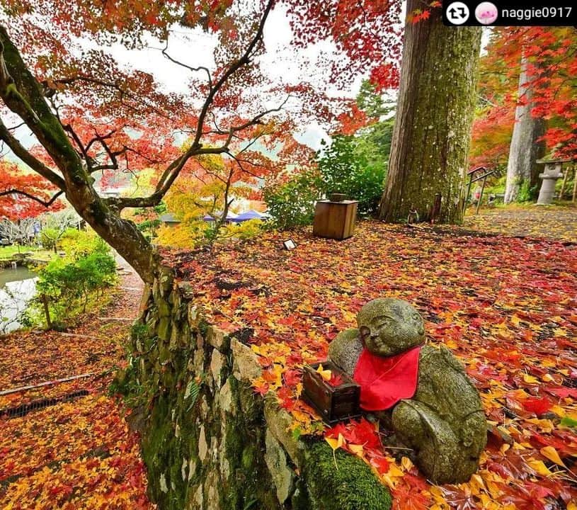 兵庫県さんのインスタグラム写真 - (兵庫県Instagram)「兵庫県公式インスタグラム『love_hyogo』です。  love_hyogoでは皆さんが #lovehyogo のハッシュタグをつけて投稿していただいた写真を紹介させていただきます。  本日のピックアップは ＠naggie0917さんのお写真です👑 ハッシュタグをつけての投稿ありがとうございます🙏🏻  写真は、丹波篠山市にある大國寺(だいこくじ)での一枚です📷✨   もみじのお布団の上でスヤスヤと気持ちよさそうなお地蔵さん😴💤💤 癒されますね～☺️💕   大國寺は、大化年間(飛鳥時代)の頃、空鉢仙人が国家安泰を祈願し、自作の薬師如来様を安置して開創されたと伝えられる歴史ある寺院です。 重要文化財指定の本堂や5体の仏像を有し「丹波の正倉院」と呼ばれています。 『丹波篠山もみじ三山』(大國寺・文保寺・高蔵寺)に数えられる紅葉の名所でもあります🍁🍁  また境内には手をかざして悪霊退散を祈願できるパワースポットがあるそうです🖐️✨   11月1日(水)～11月３０日(木)にかけて「大國寺もみじまつり」が開催されます🍁 色づき状況やイベントの開催状況は事前にお問い合わせ下さい😄   兵庫にまつわる投稿は #lovehyogo のハッシュタグをお願いします👈  This is "love_hyogo", the official Instagram of Hyogo Prefecture. We will introduce photos posted by you with the hashtag #lovehyogo on love_hyogo.  Today's pick is a photo by ＠naggie0917 Thank you for posting with the hashtag  Please use the hashtag #lovehyogo for Hyogo related posts!  #兵庫県#兵庫#hyogo #lovehyogo#love_hyogo #japan #photooftheday#followme #instagood #photography #picooftheday #happy   #丹波篠山市 #大國寺 #もみじ三山 #パワースポット #もみじまつり #お出かけスポット #幸せのひととき #フォトジェニック #自慢したい兵庫の景色」11月22日 10時54分 - love_hyogo