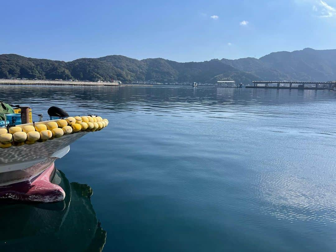 小笠原正典のインスタグラム：「今日はベタ凪。 快晴の佐伯市鶴見・松浦漁港。 何の取材かと言うと… それはまたもうちょっとして。🙏  暖かくて助かります🌊🚢🐟🍷  #佐伯市 #佐伯市鶴見」