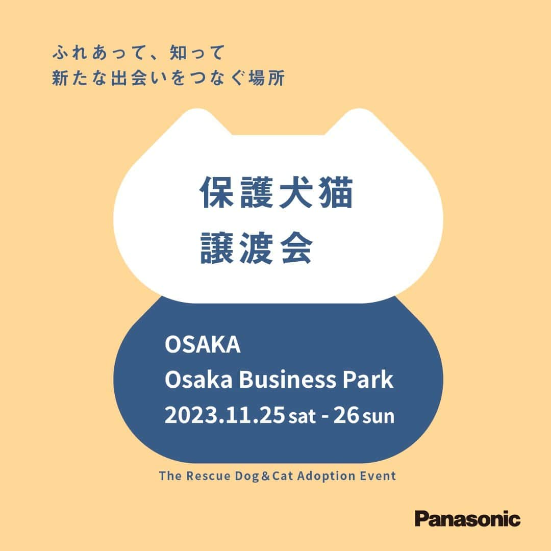 sippoさんのインスタグラム写真 - (sippoInstagram)「＼いいね・投稿で保護犬猫に寄付／ 11/25(土)-26(日)開催の #パナソニック保護犬猫譲渡会  大阪「初」を記念してSNS寄付キャンペーンを実施中！  会場では元保護犬猫たちの100枚の写真展「みんなイヌみんなネコ」も同時開催  ぜひ会場にもご来場ください 行けないけど応援したい！という方は オンライン募金も受付中です🎁  主催：パナソニック、協力：sippo  詳しくは⬇ https://panasonic.jp/pet/adoption_event23_osaka.html」11月22日 11時31分 - sippo_official