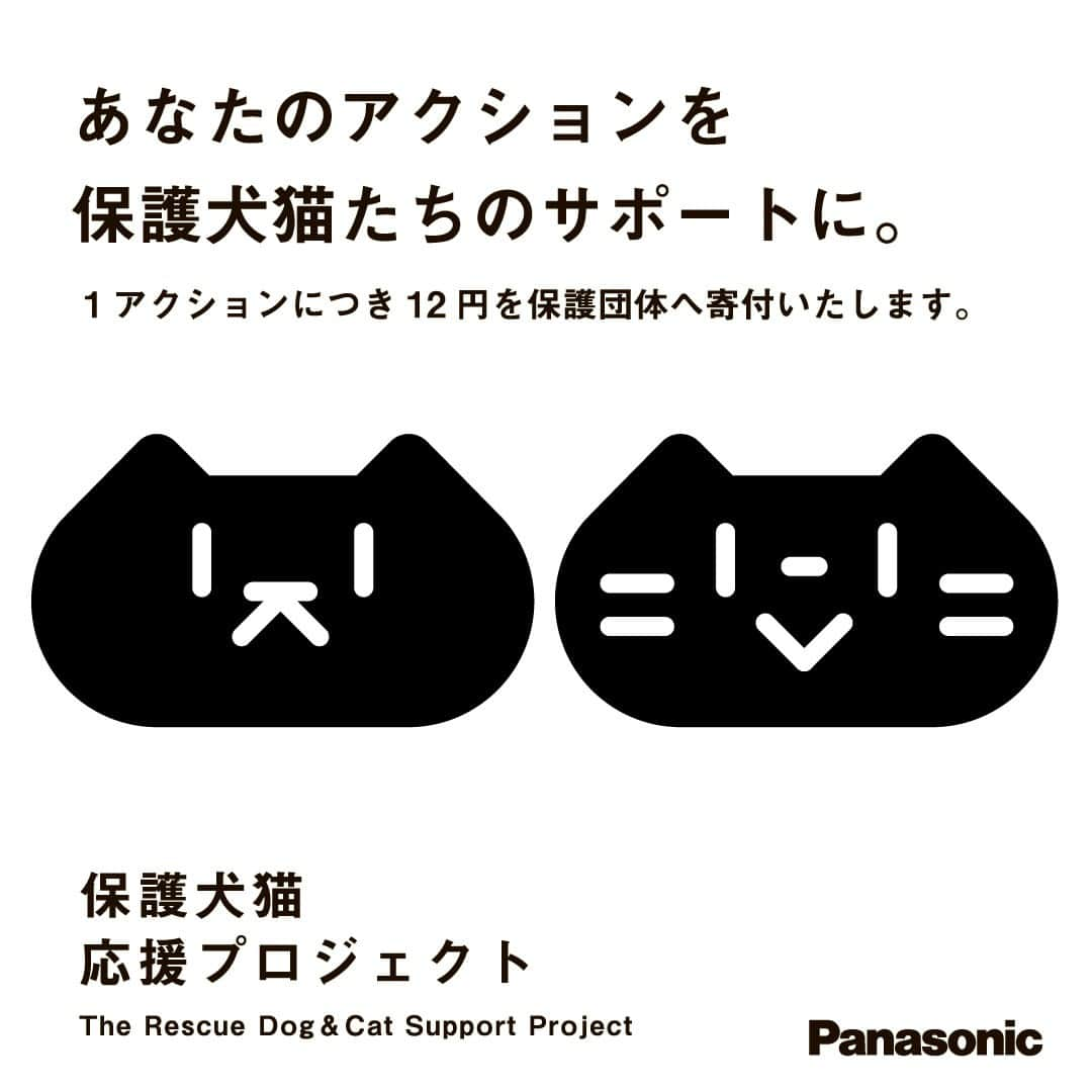 sippoのインスタグラム：「＼いいね・投稿で保護犬猫に寄付／ 11/25(土)-26(日)開催の #パナソニック保護犬猫譲渡会  大阪「初」を記念してSNS寄付キャンペーンを実施中！  会場では元保護犬猫たちの100枚の写真展「みんなイヌみんなネコ」も同時開催  ぜひ会場にもご来場ください 行けないけど応援したい！という方は オンライン募金も受付中です🎁  主催：パナソニック、協力：sippo  詳しくは⬇ https://panasonic.jp/pet/adoption_event23_osaka.html」