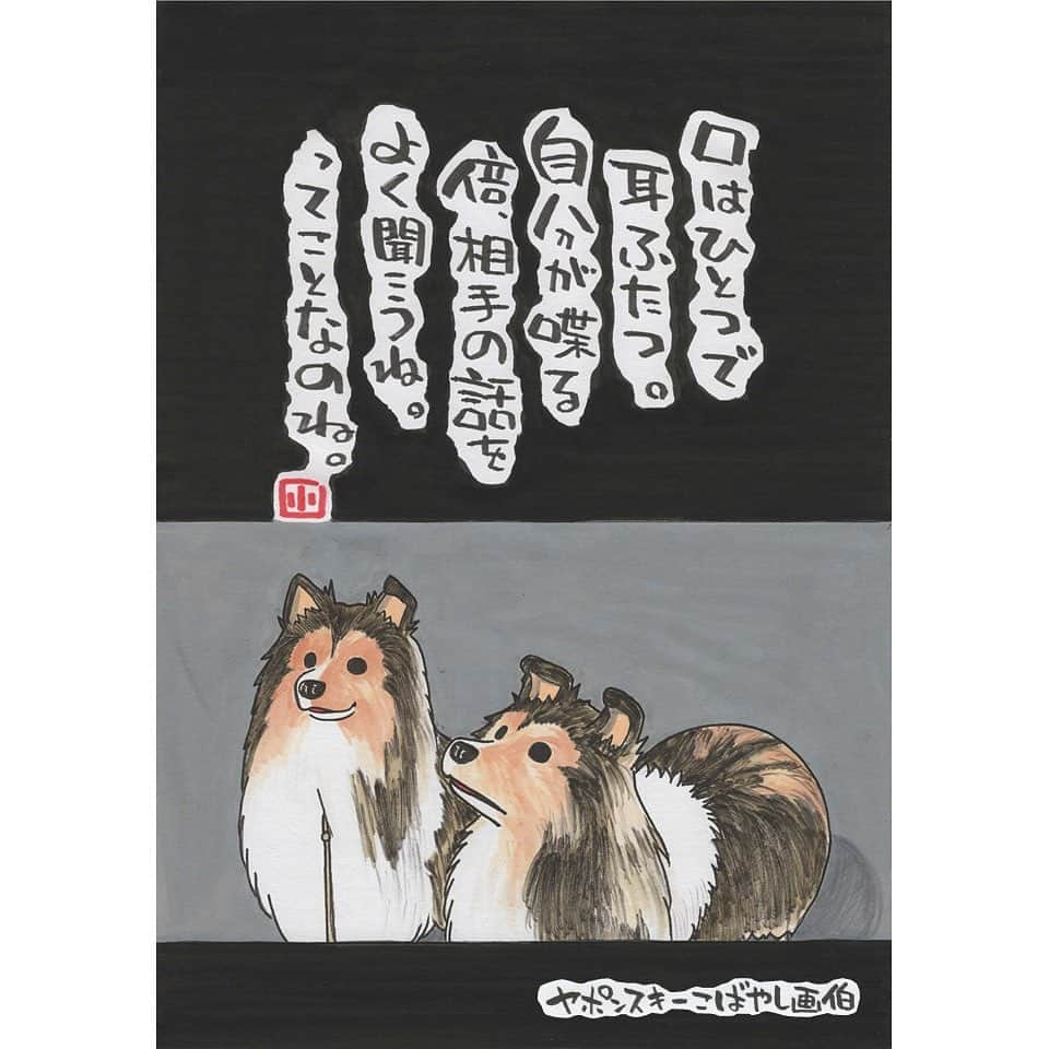 ヤポンスキーこばやし画伯のインスタグラム：「けもの日和 今日はizumiさん家の犬たちです。 コリーですかね。 これ、絶対飼い主さんを見てますよね。 この子たちの間に入って、抱きしめたくなる衝動に駆られる一枚です。 素敵なお写真をありがとうございます。  イラスト #ポエム  #イラストエッセイ #エッセイ #ヤポンスキー #ヤポンスキーこばやし画伯 #こばやし画伯 #芸人 #絵 #ポストカード #詩 #アート #言葉 #言葉の力 #人生 #生き方 #イラストグラム #イラストレーター #つぶやき #可愛い #前向き #ポジティブ #癒し #名言 #格言 #けもの日和」