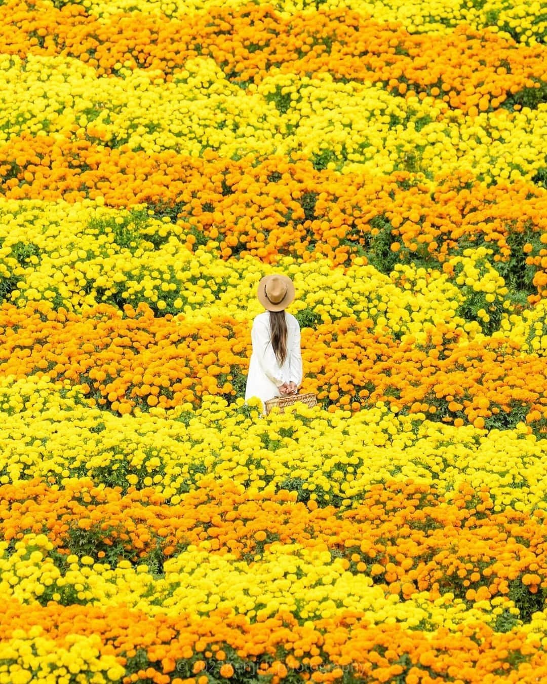 Short Tripのインスタグラム