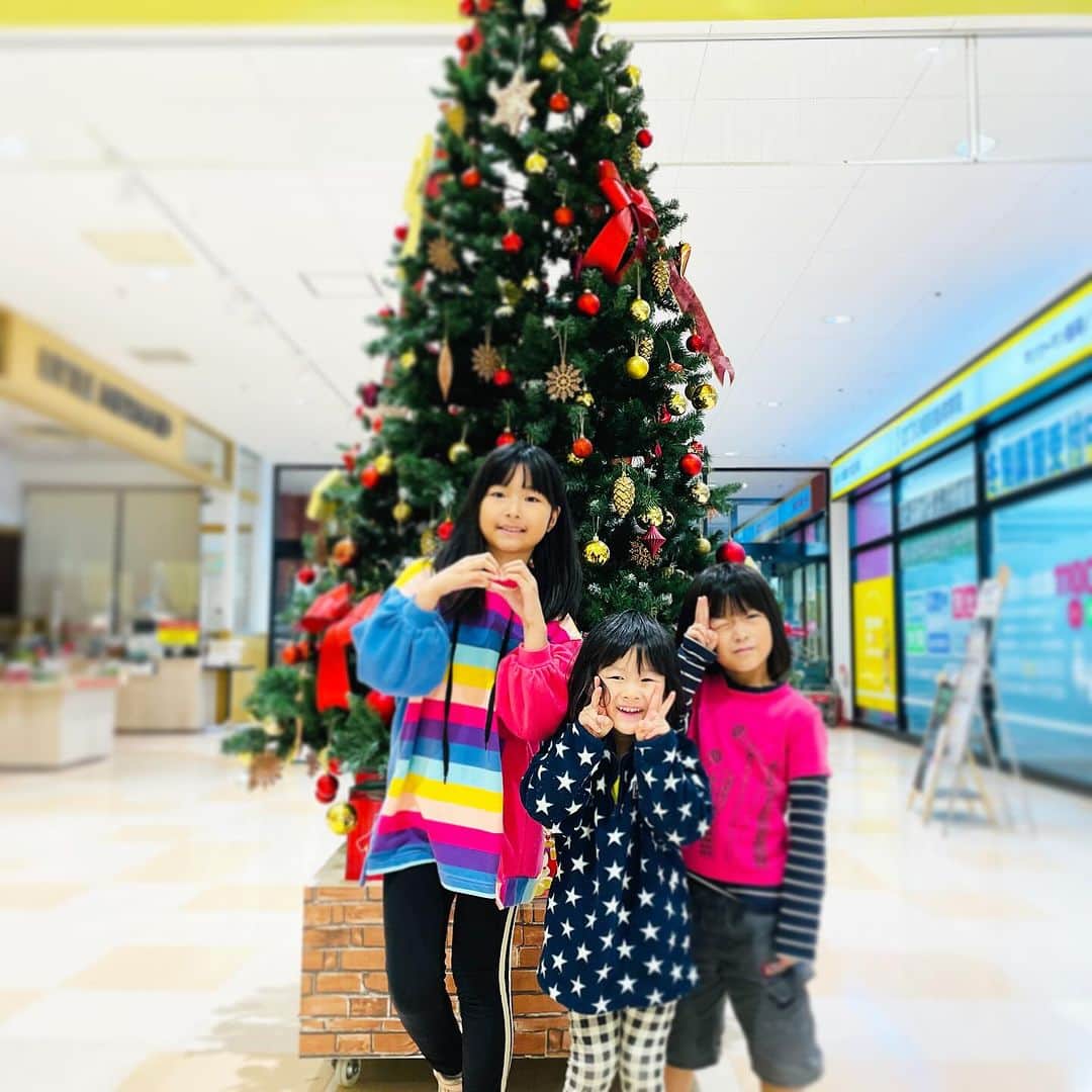 吉田ヒトシのインスタグラム：「クリスマスツリーと子どもたち🌲」
